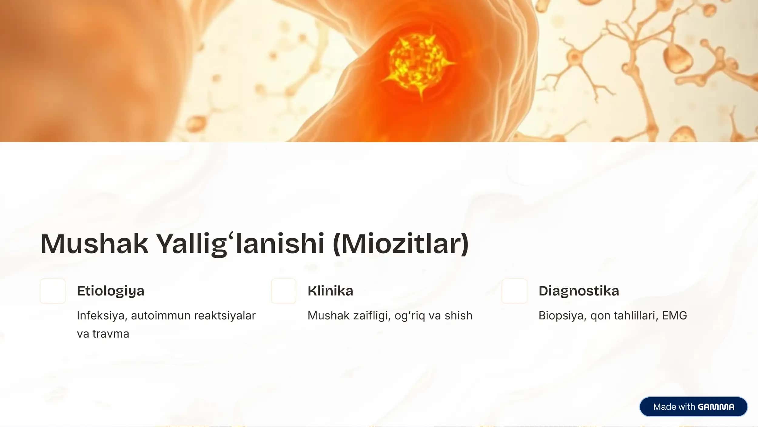 Skelet Mushaklari 3