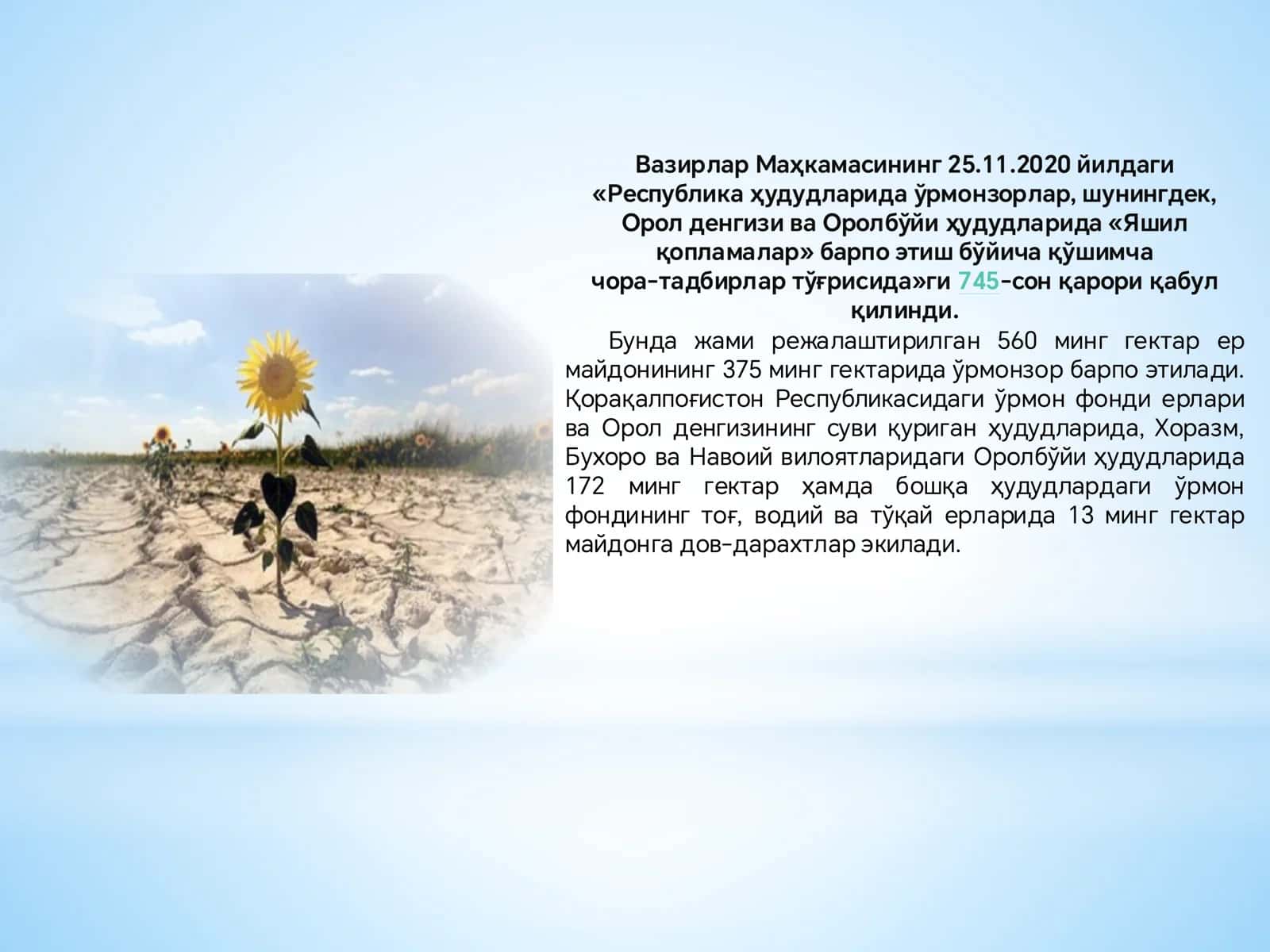 Яшил қопламалар 3
