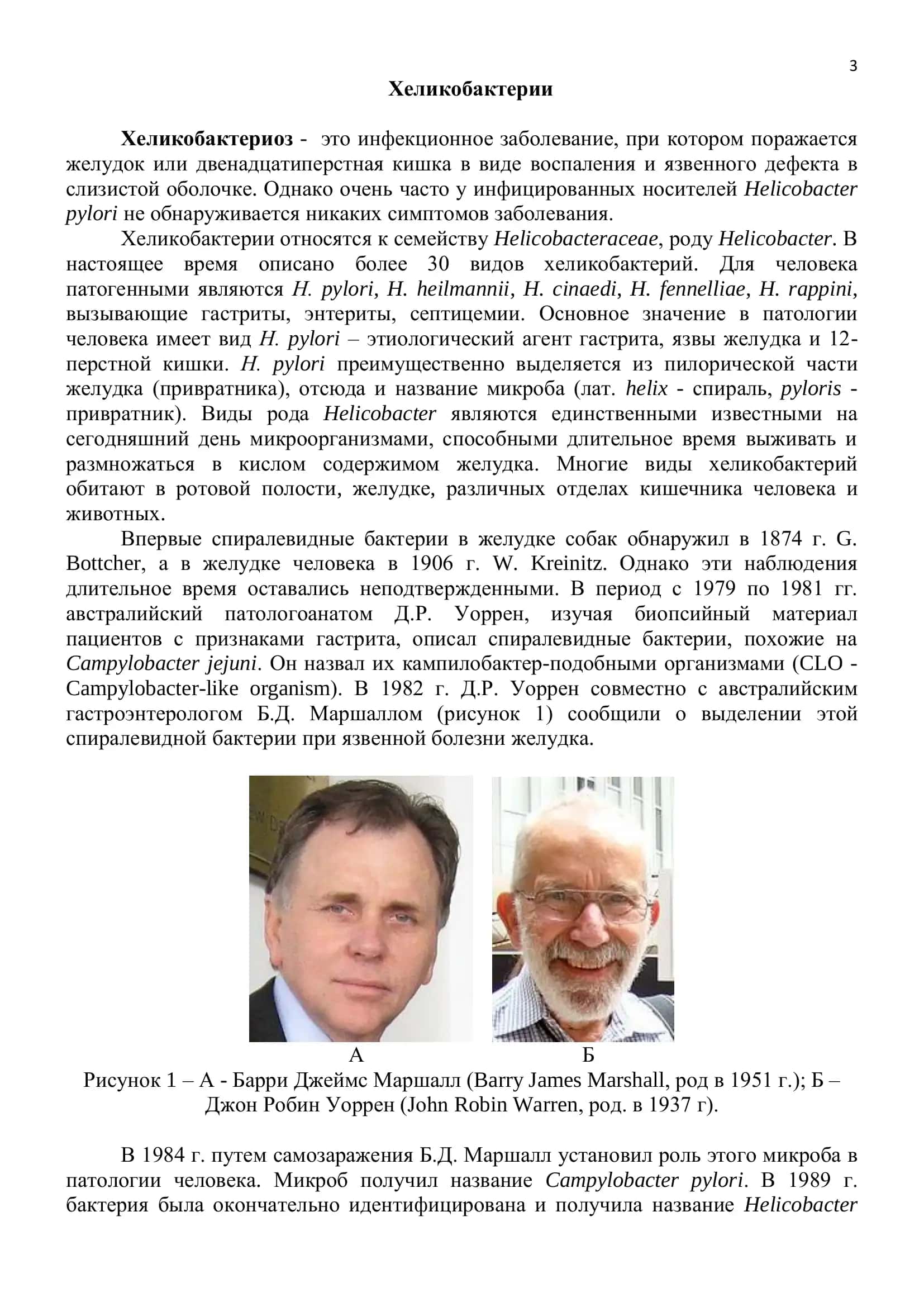 Хеликобактерии. Иллюстрированное учебное пособие 3