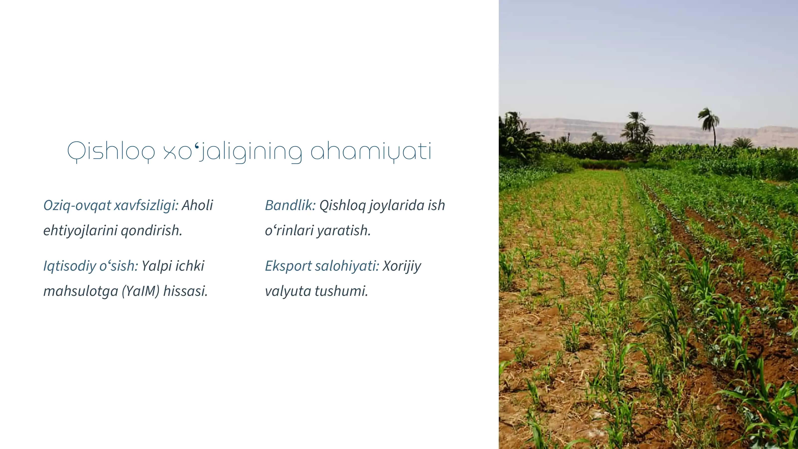 Qishloq xoʻjaligini rivojlantirish: Oʻzbekiston uchun imkoniyatlar 3
