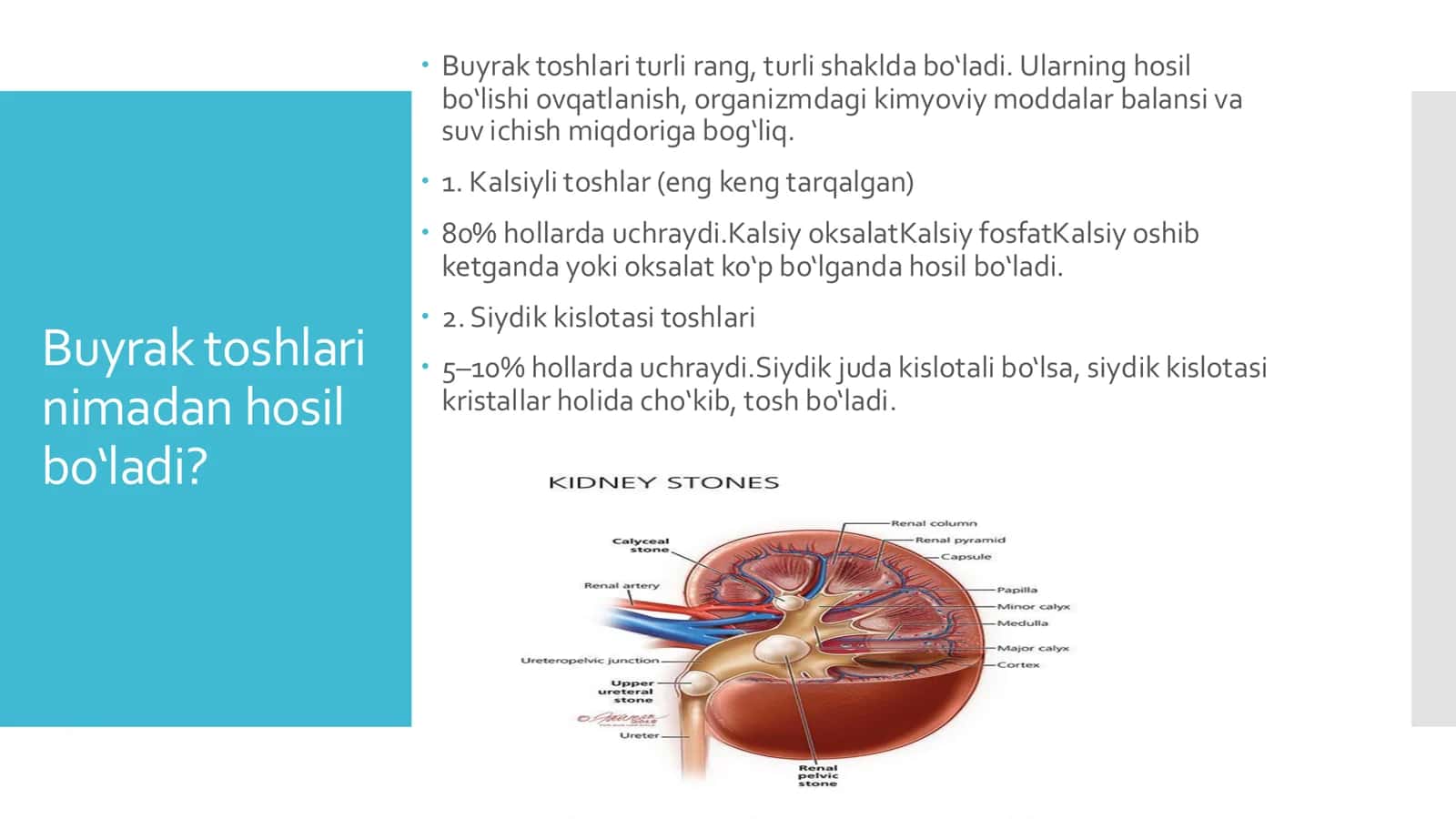 Buyraklarda urat toshlarining hosil bulishi va davolash yo'llari 3