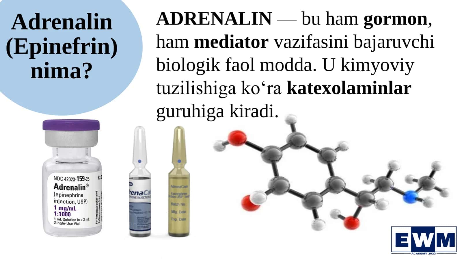 ADRENALIN HOSIL BO’LISHI, ADRENERGIK RETSEPTORLAR TURLARI, LOKALIZATSIYASI VA ISHLASH MEXANIZMLARI 3