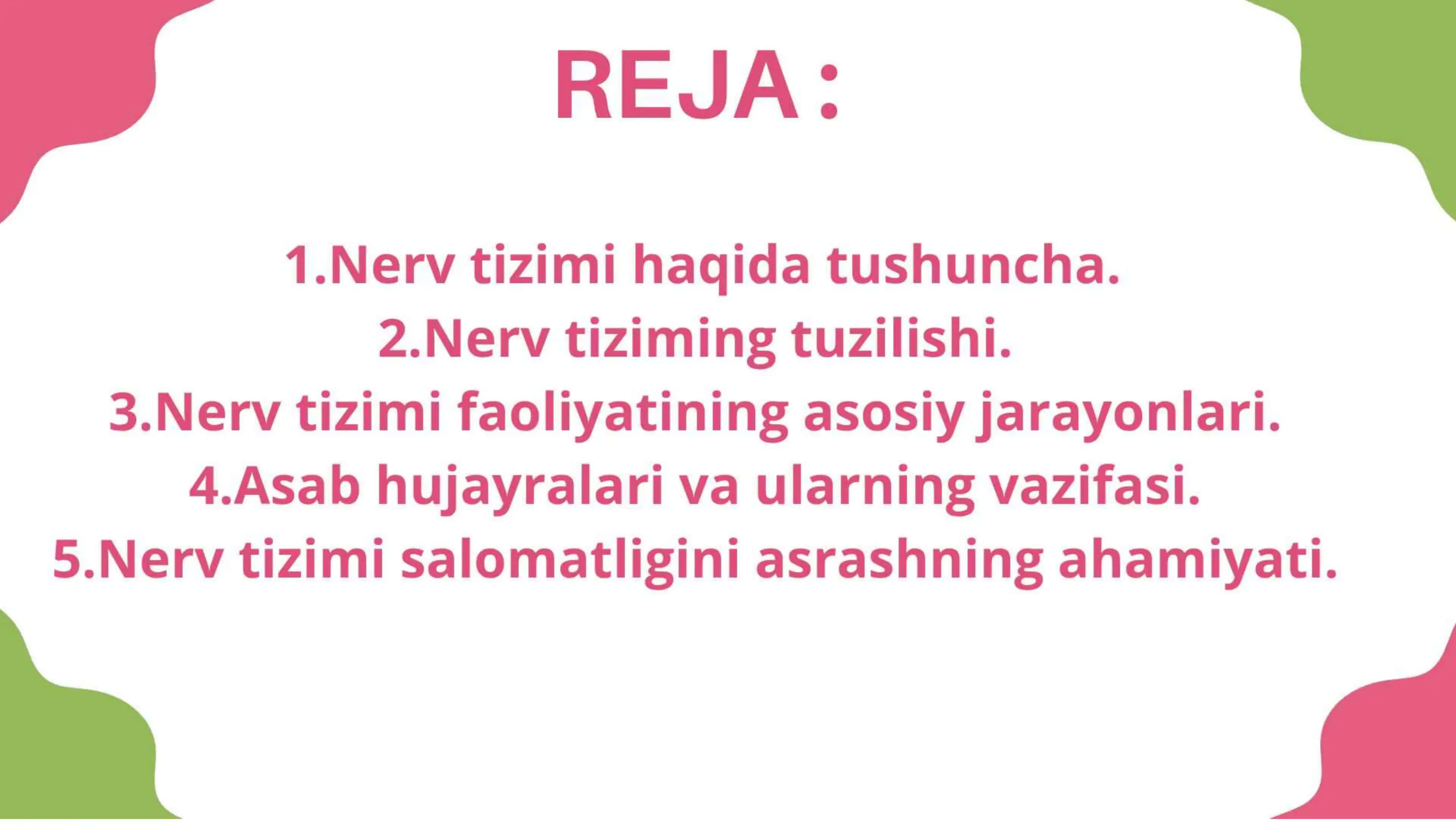 Nerv tizimining ahamiyati 3