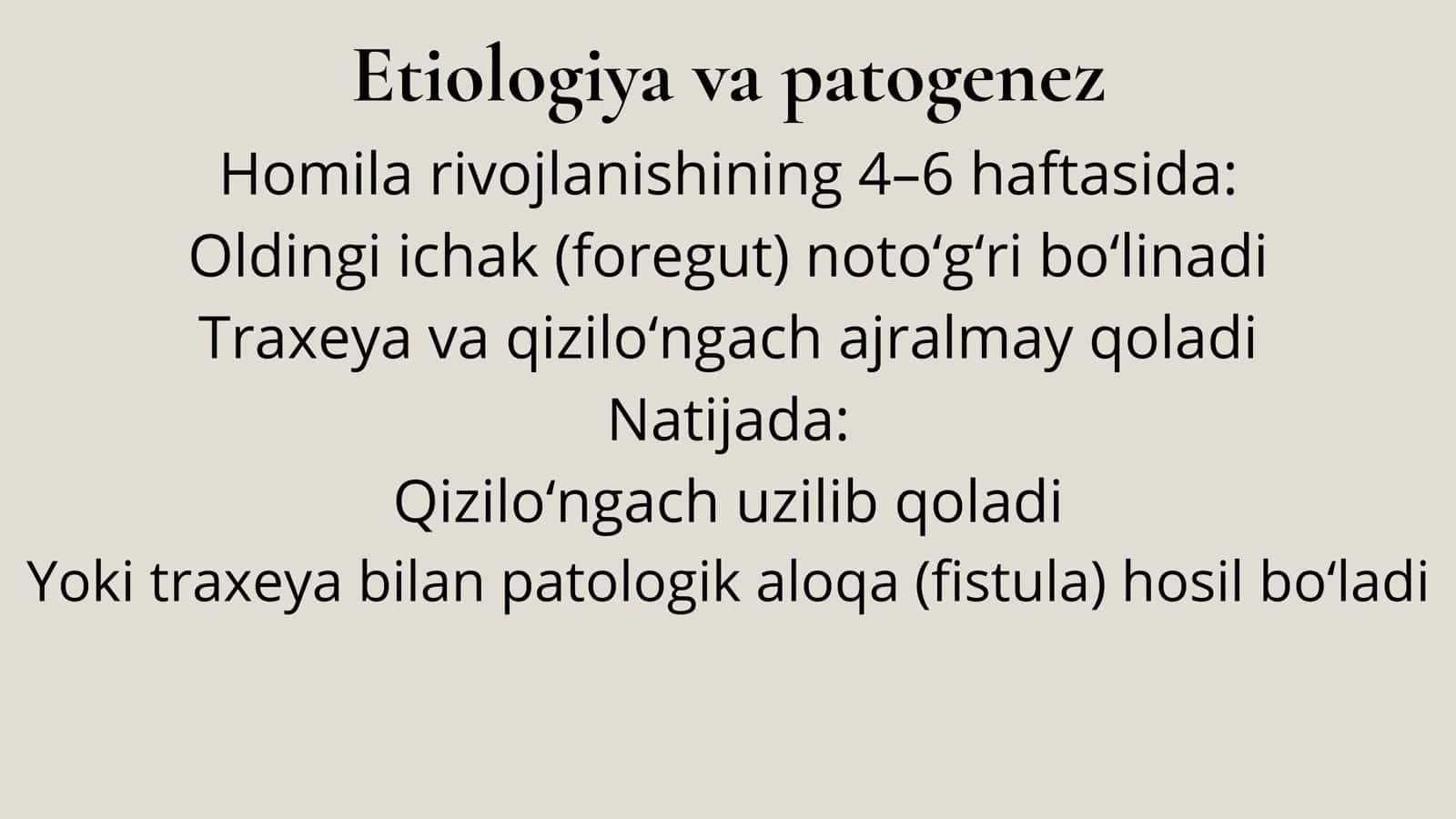 QIZILO’NGACH ATREZIYASI 3