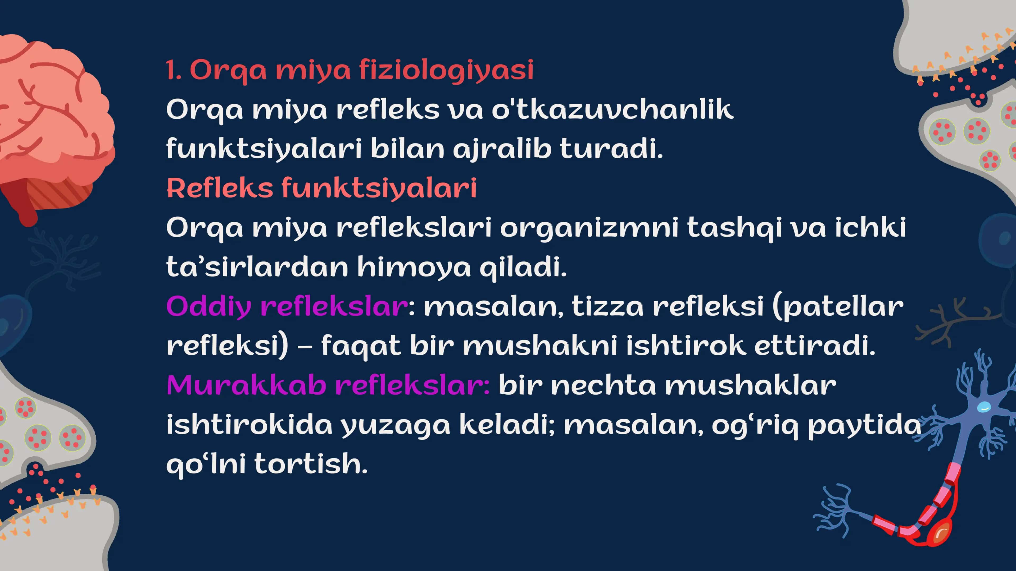 Markaziy asab tizimining  xususiy Fiziyalogiyasi 3