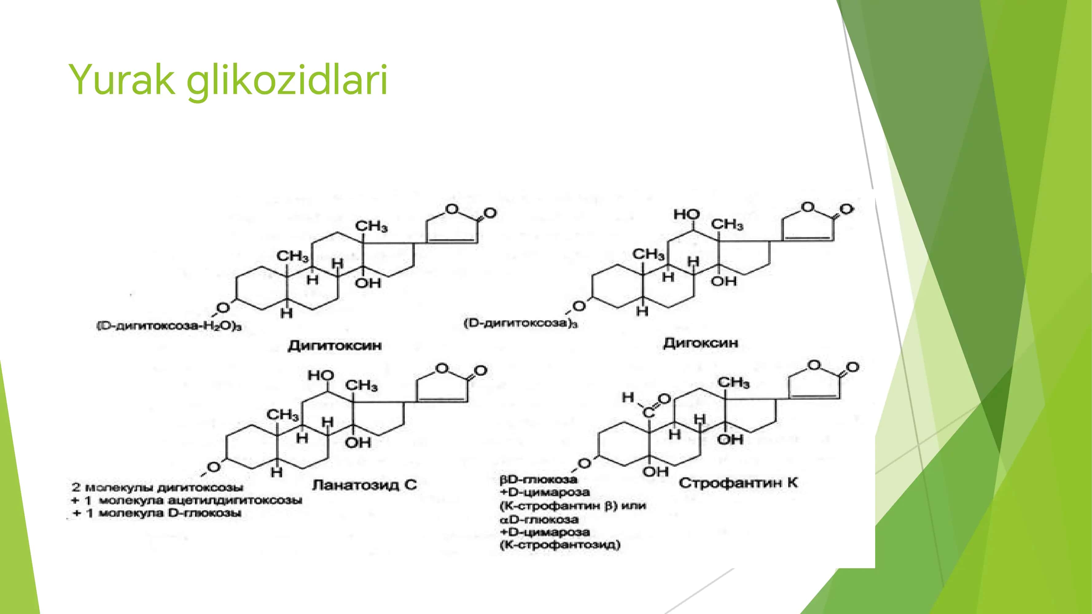 yurak glikozit 3