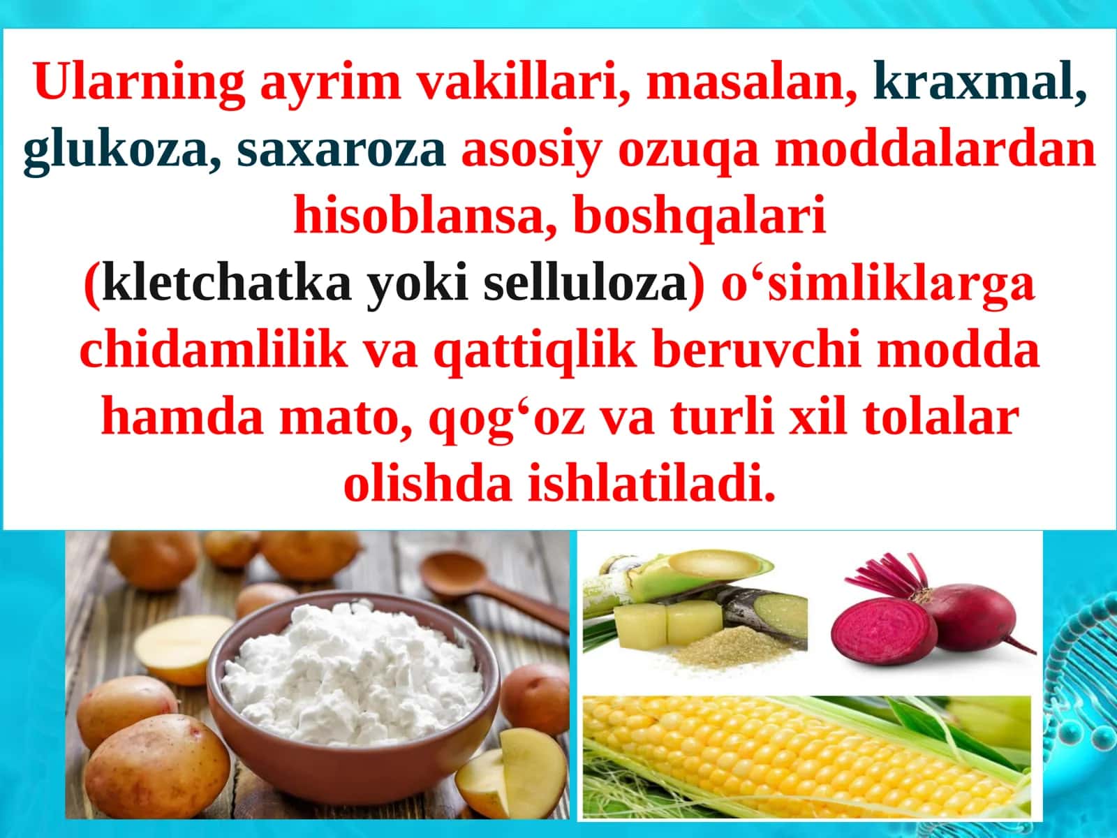 Kimyo: “Uglevodlar va Monosaxaridlar” Taqdimot FREE 3