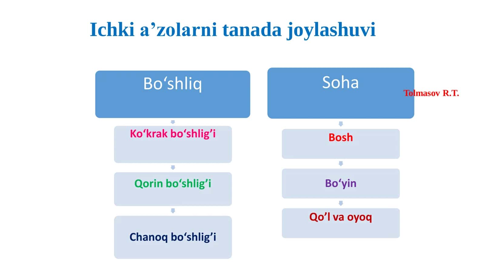 Ichki a'zolar tizimlari 3