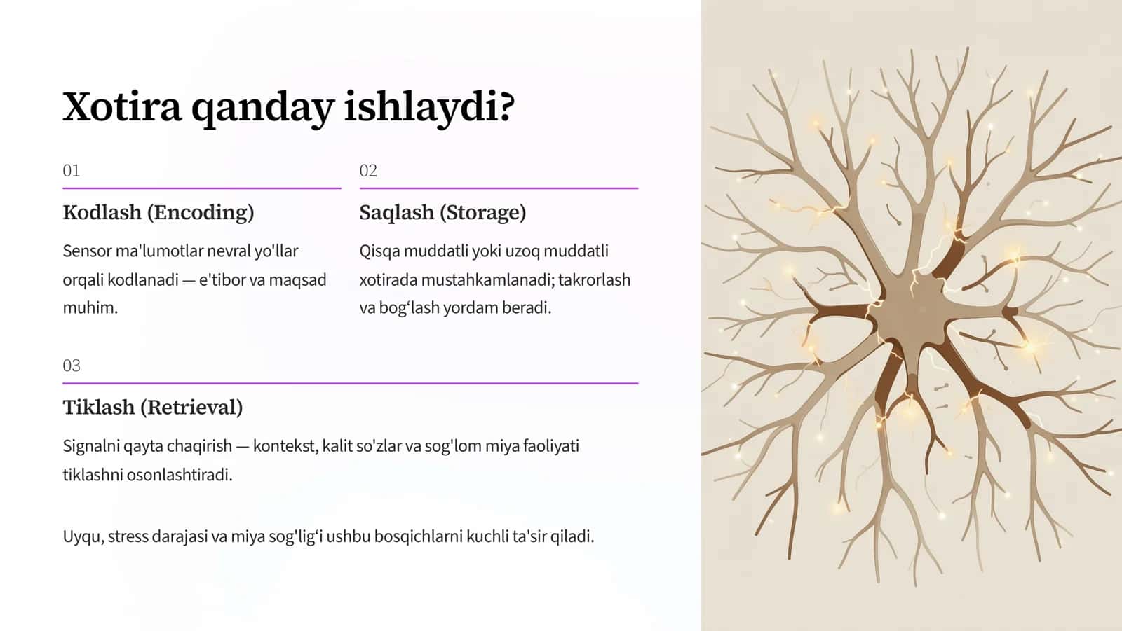 XOTIRA RIVOJLANISH VA BUZILISH JARAYONLARI 3
