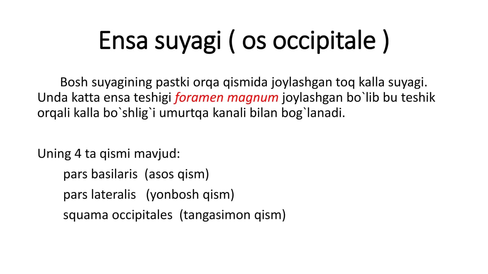 Ensa, peshona va tepa suyaklari 3