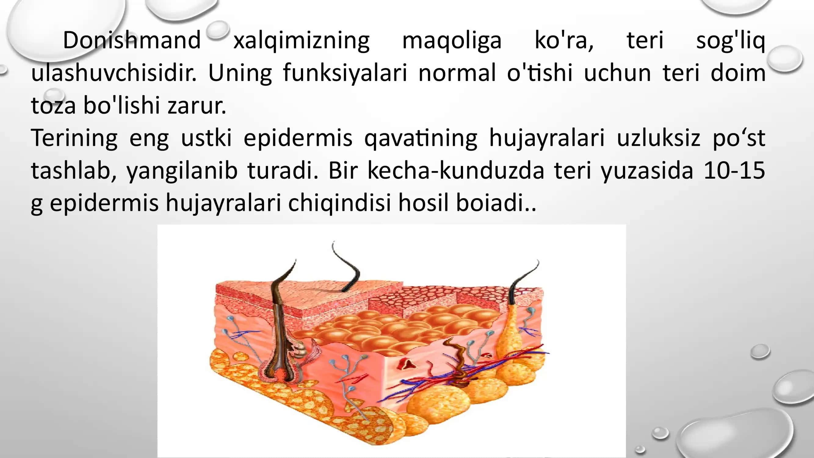 TERINING TUZILISHI VA FUNKSIYASI 3