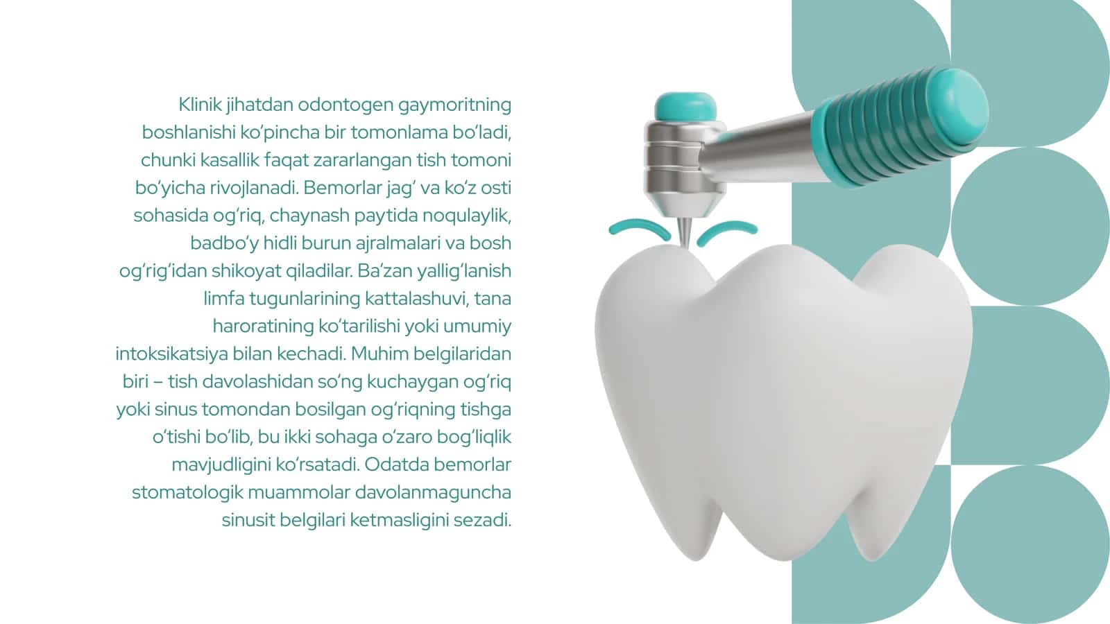 Odontogen gaymorit 3