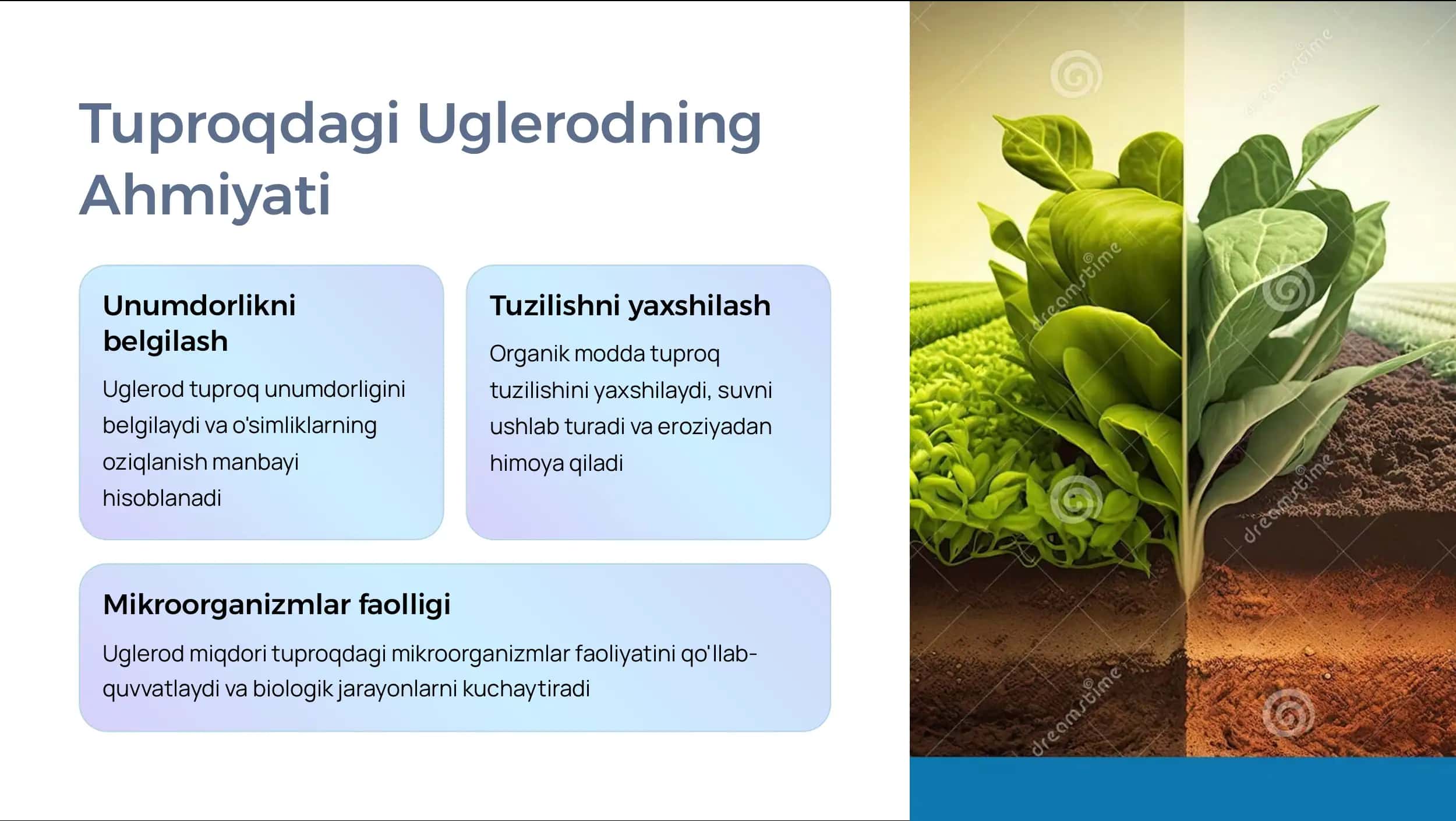 Tuproq Tarkibidagi Uglerod Miqdorini Aniqlash va Organik Qismini O'rganish 3