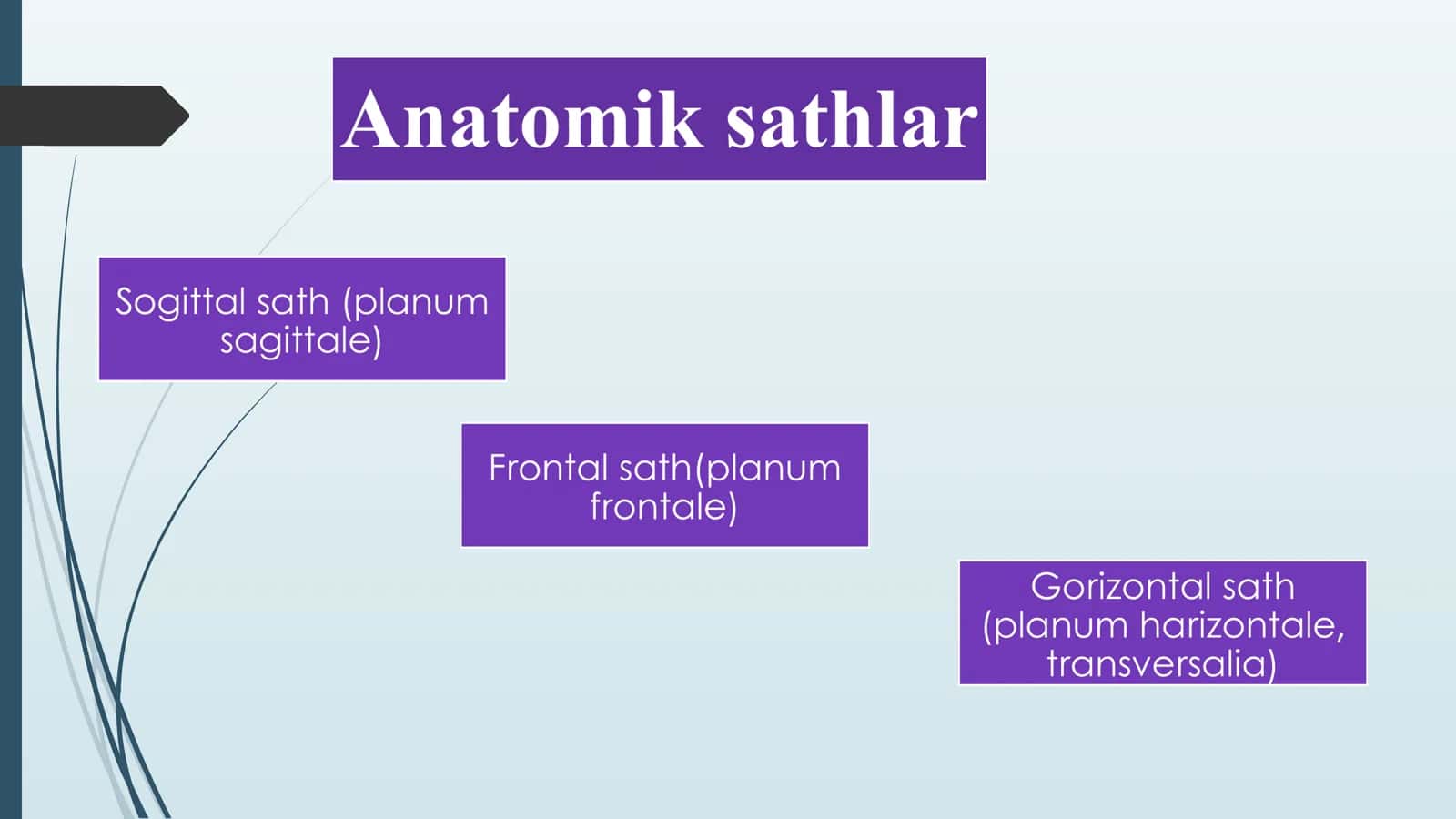 Umumiy osteologiya. Skelet haqida umumiy tushuncha. Satxlar haqida tushuncha. Boshlang’ich te 3