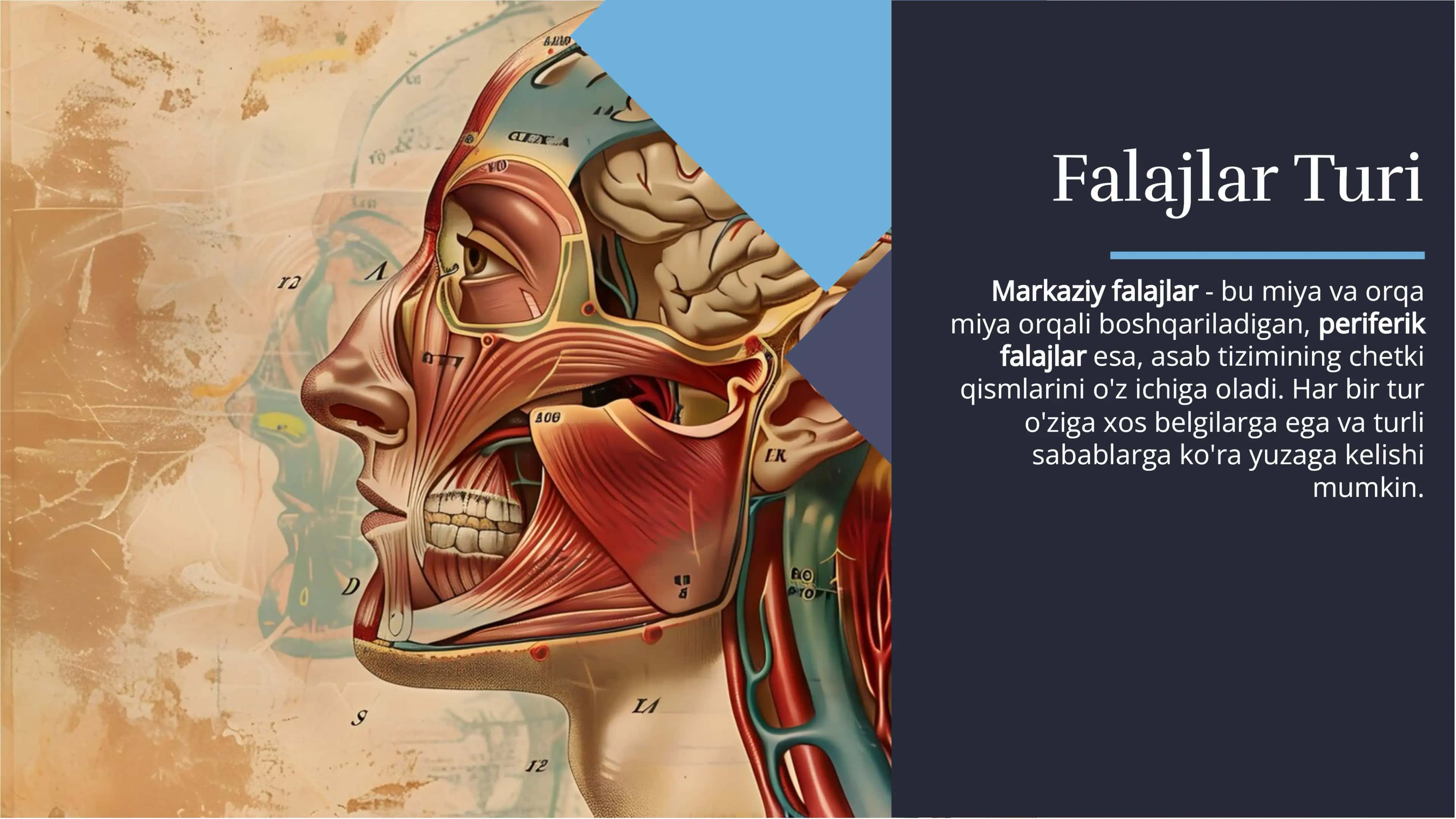 Markaziy va periferik falajlar belgisini aniqlash. Harakat yo'llarni zararlanishini topik diagnostikasini topa bilish 3