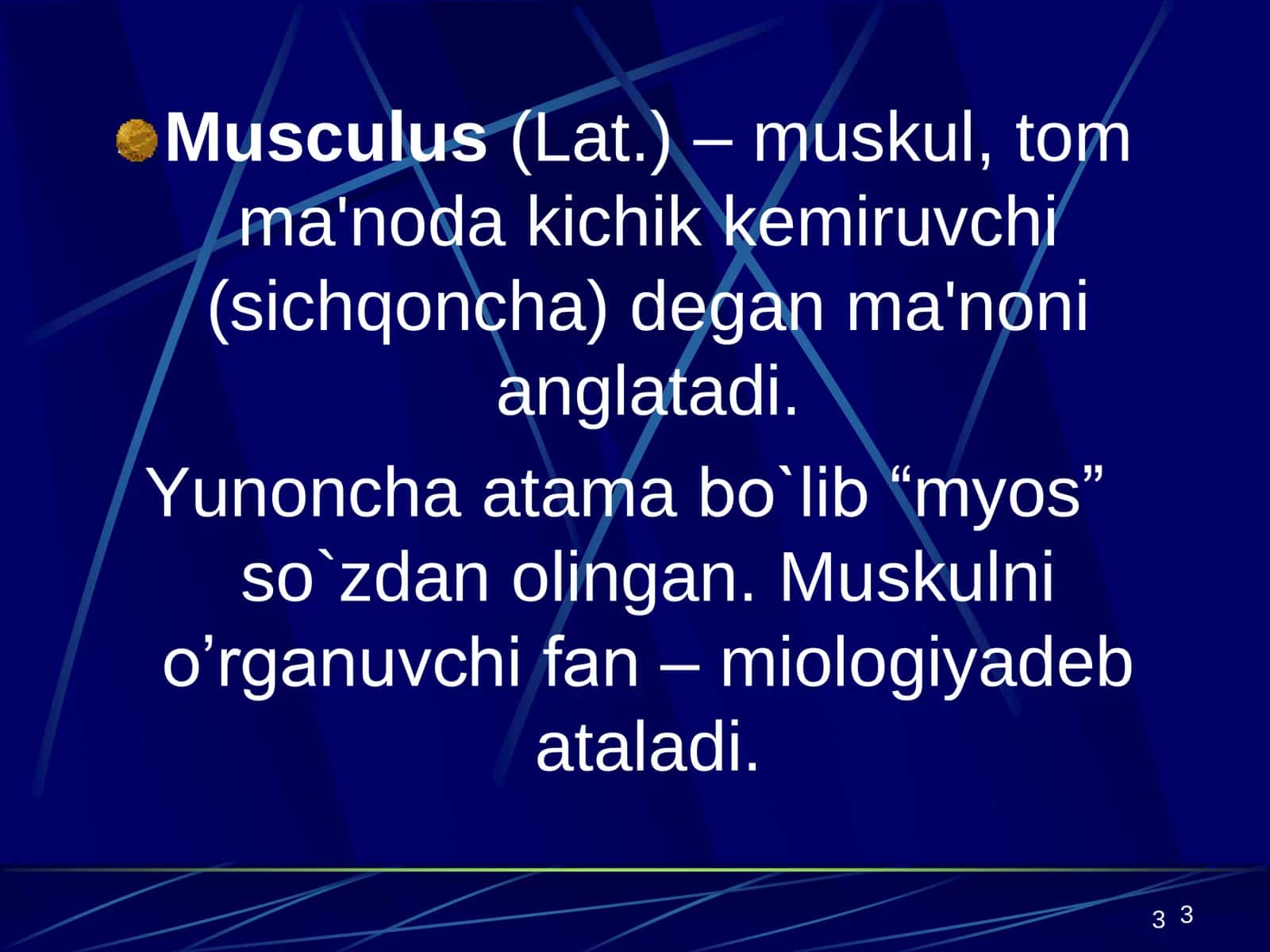 Muskullar sistemasiga umumiy tushuncha. Muskullar sistemasi klassifikatsiyasi, tuzilishi 3