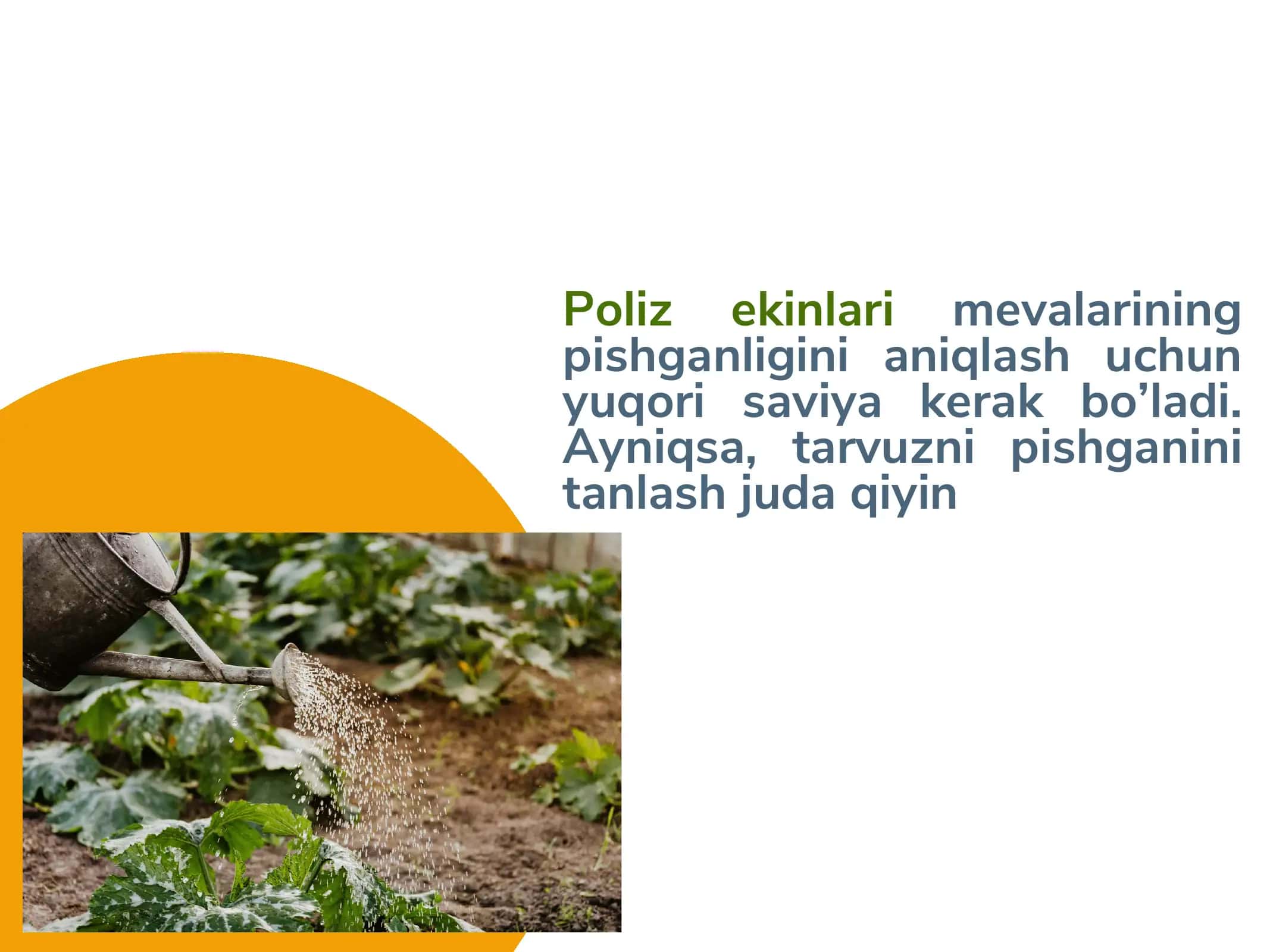 Poliz ekinlari o`stirish, saqlash va qayta ishlash texnalogiyasi 3