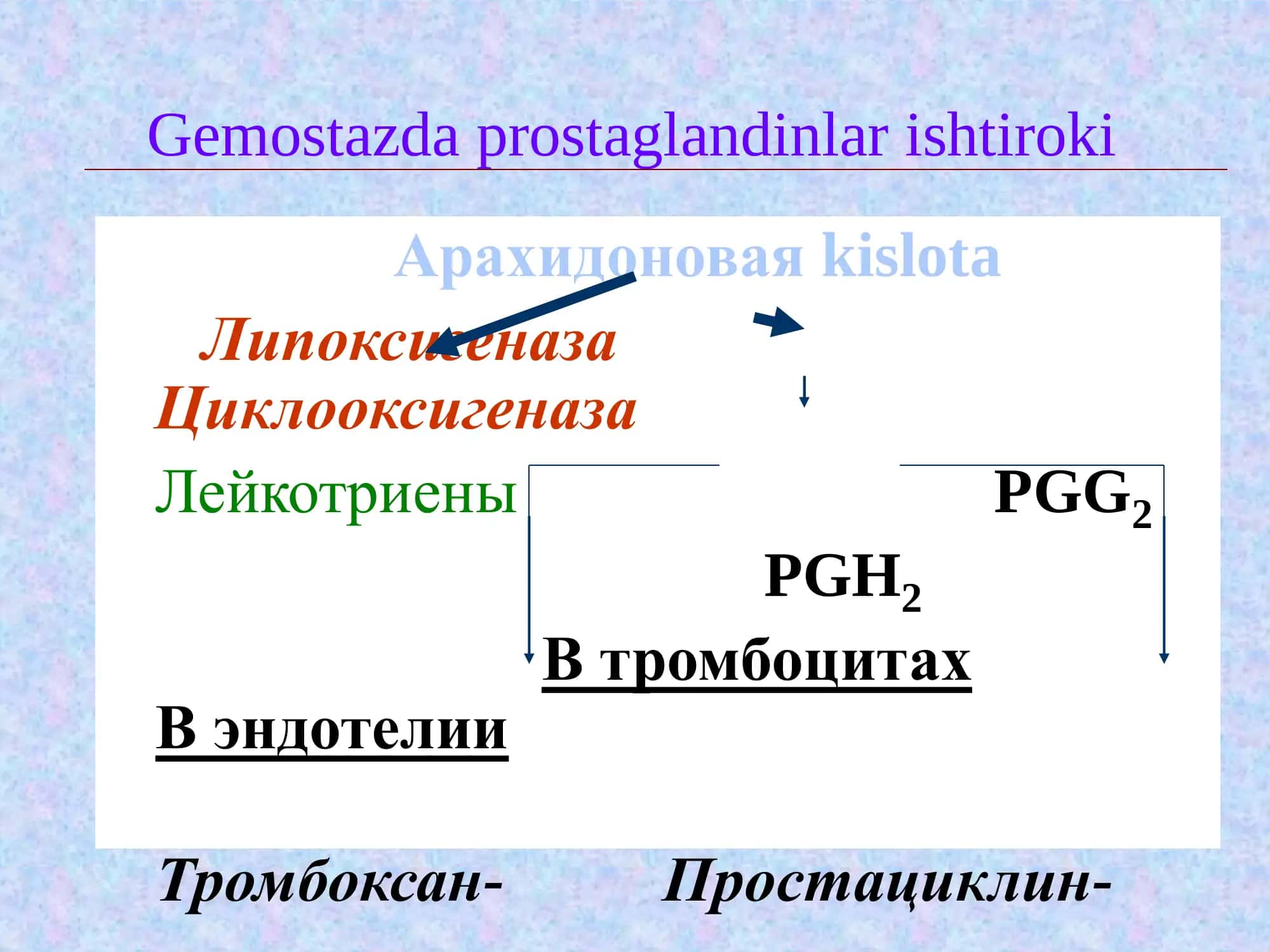 Gemostaz va fibrinoliz 3