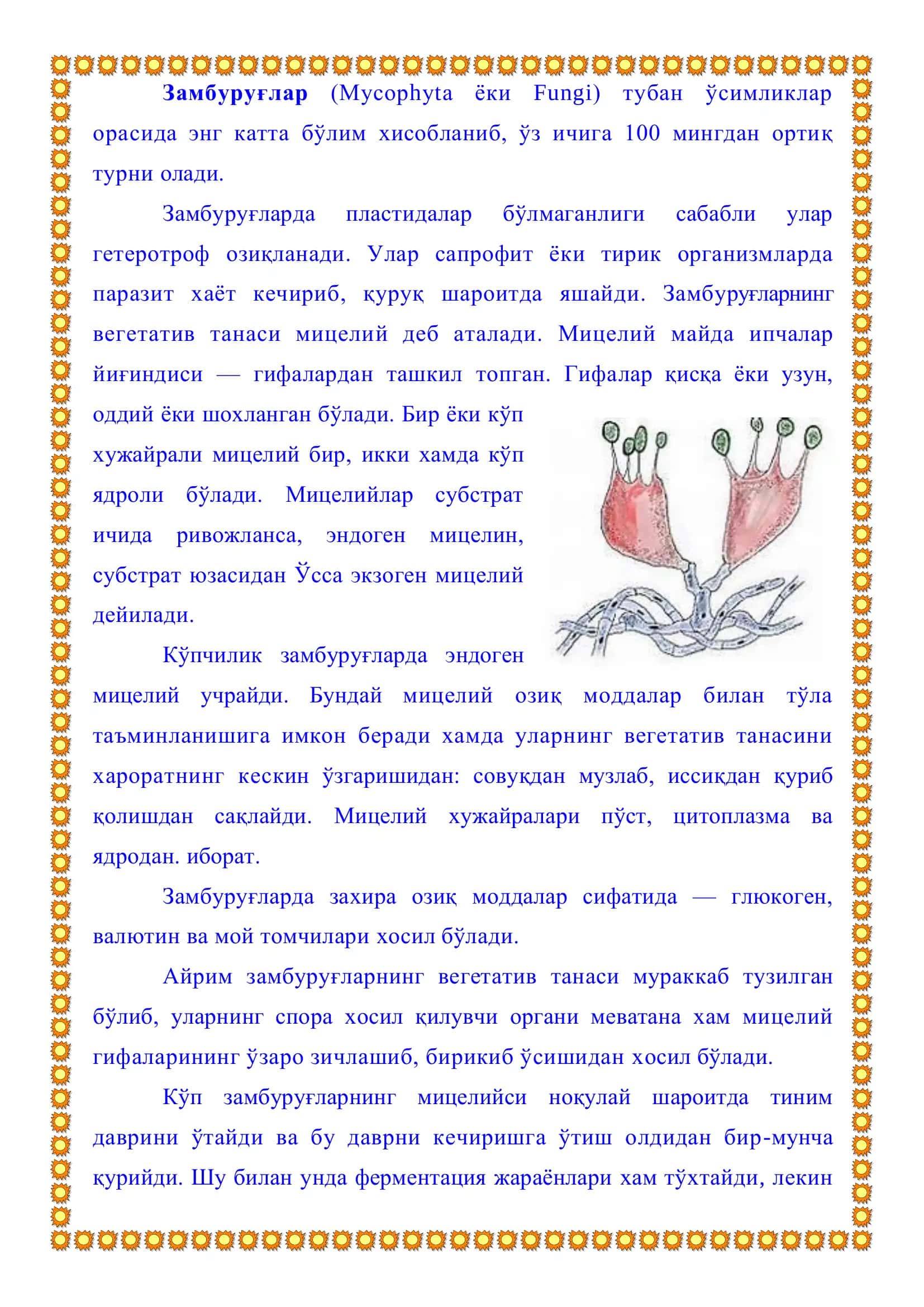 ЗАМБУРУҒЛАР ХАҚИДА ТУШУНЧА, ТУЗИЛИШИ, КЎПАЙИШИ ВА ХАЁТ КЕЧИРИШИ 3