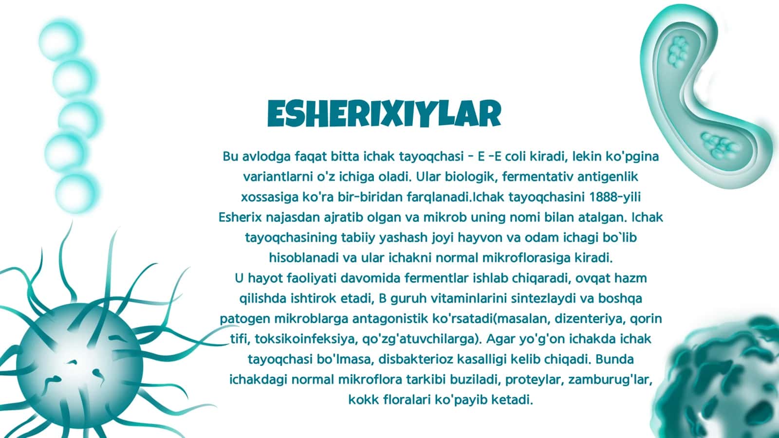ICHAK INFEKSIYALARI QO'ZG'ATUVCHILARI (ESHERIXIOZ, SHIGELLEZ, VABO). OVQATDAN ZAHARLANISHLARNI CHAQIRUVCHI INFEKSIYALAR VA ULARNING LABORATORIYA TASHXISI 3