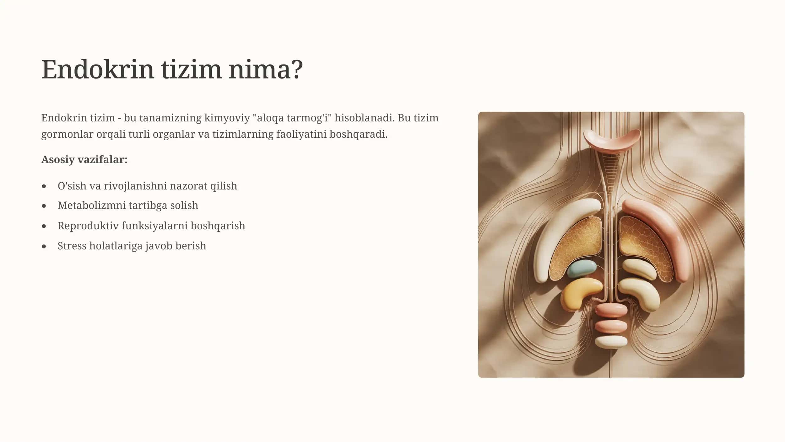 Endokrin bezlari: Tanamizning kimyoviy boshqaruv tizimi 3