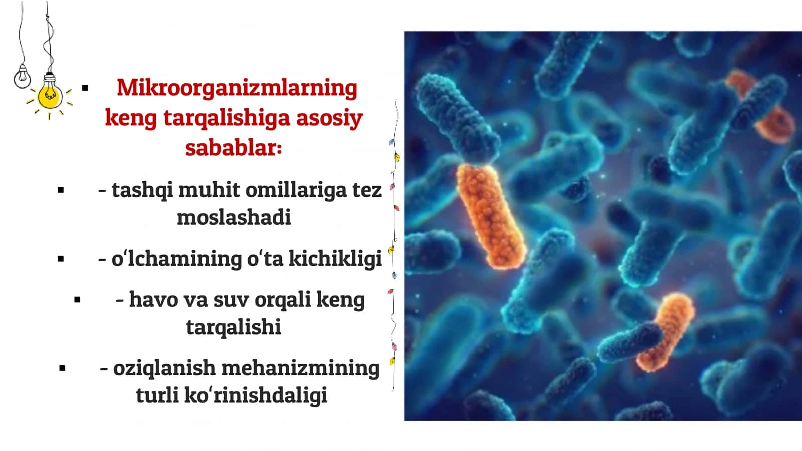 Mikroorganizmlar ekologiyasi. Suv tuproq havo mikroflorasi 3