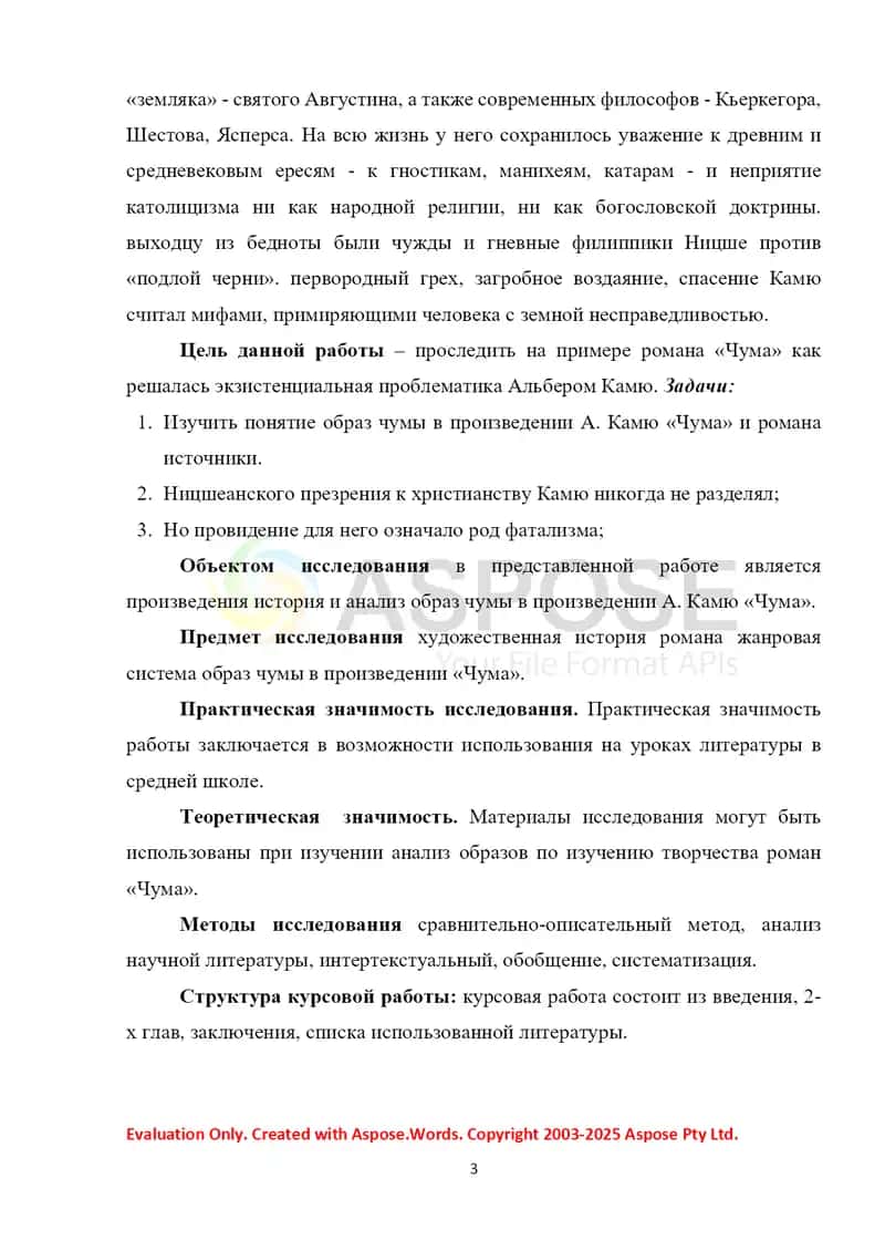 "Образ чумы в произведении А. Камю «Чума»" 3
