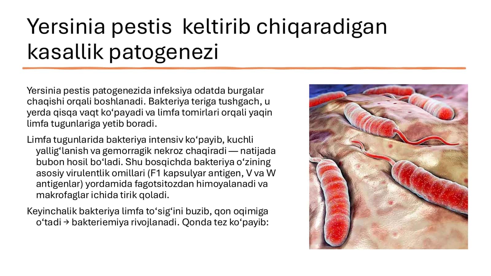 Yersinia pestis, Francisella tularensis keltirib chiqargan kasalliklar patogenezi, laborator tashhisi. Maxsus profilaktika va terapiyasi. 3