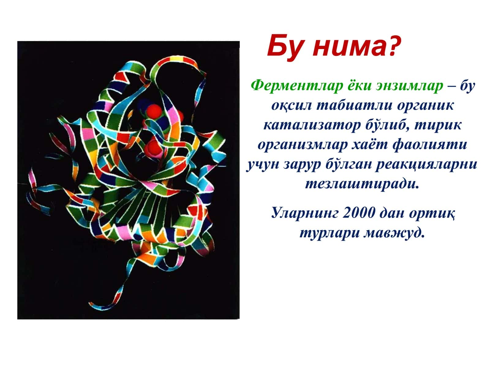 Ферментлар 3