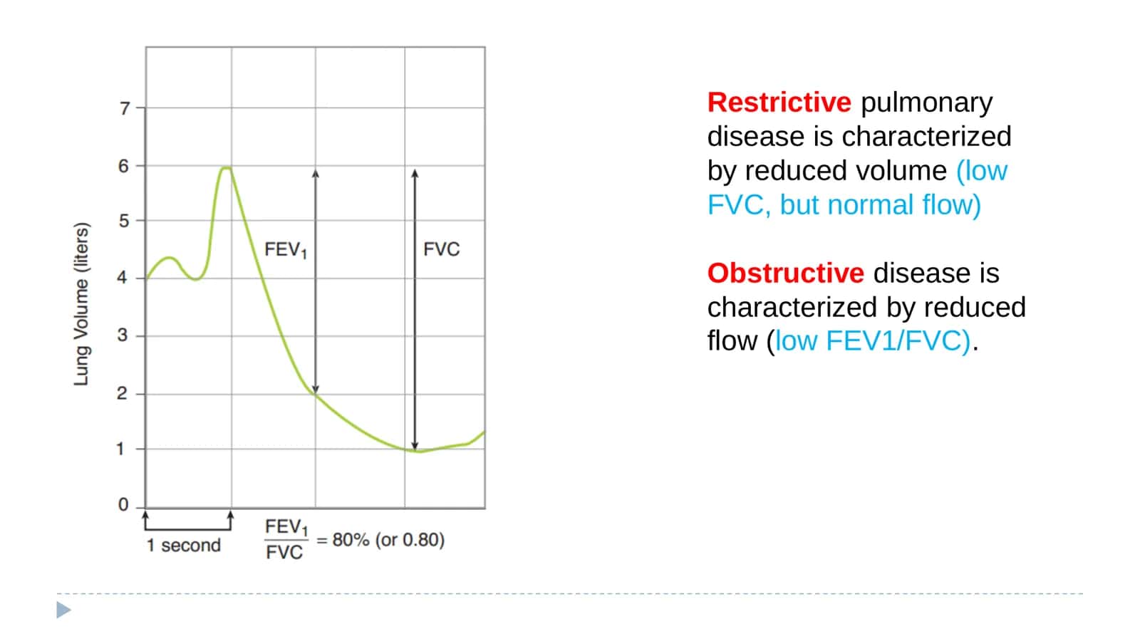 PHYSIOLOGY LESSON 18 3