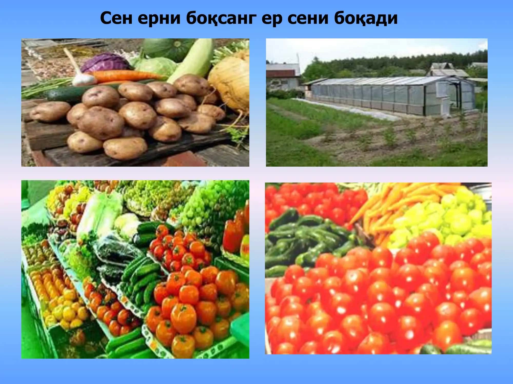 Фермер хўжаликлари малкасини ошириш бўйича ўқув курслари 3