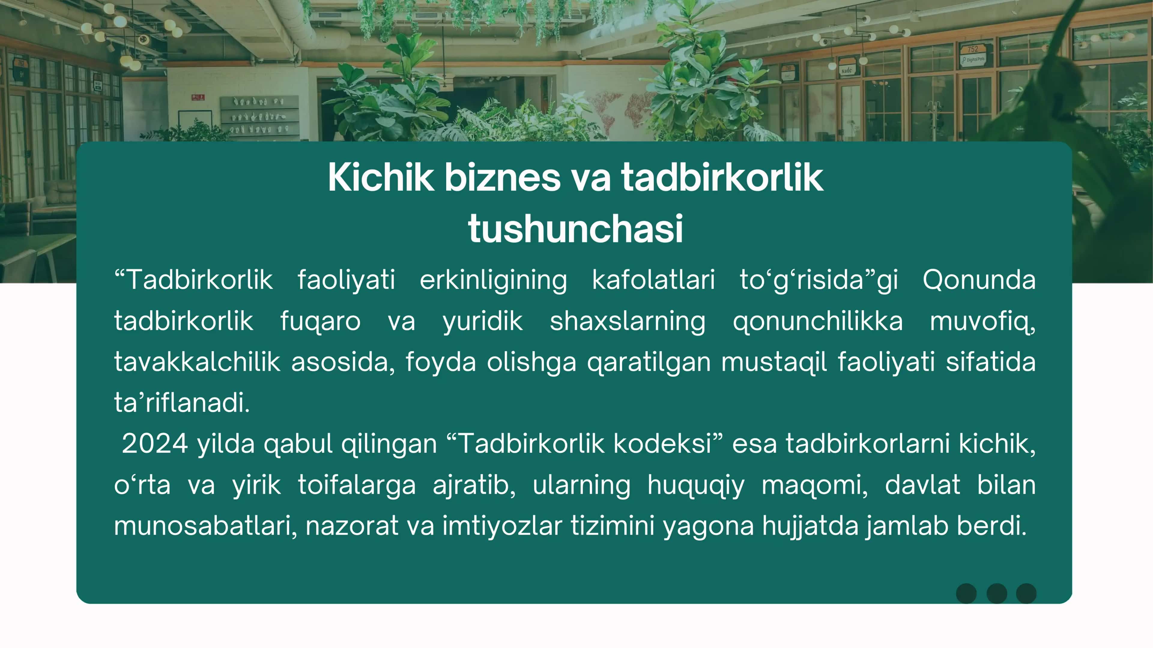 Kichik biznes va tadbirkorlik subyektlari moliyaviy tahlili mavzusida slayd 3