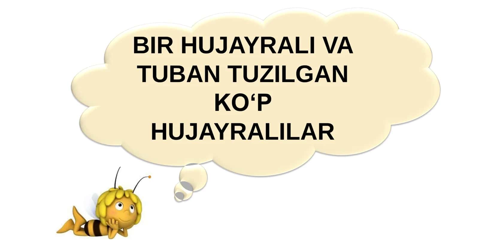 11-Sinf Biologiya: “Hayvonlarning Qon Aylanish Organlari Evolyutsiyasi” Taqdimot 3