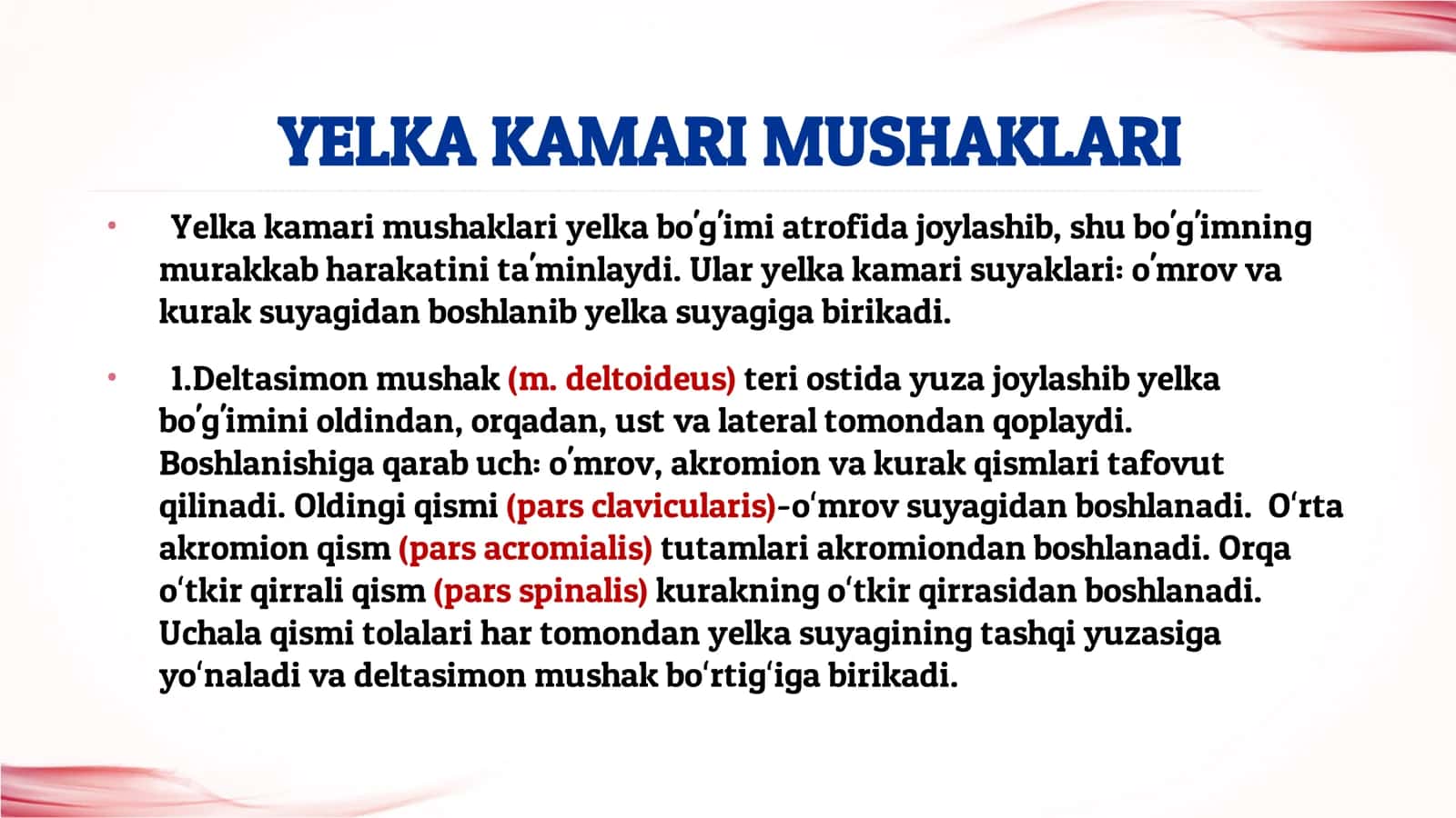 QOʻL MUSHAKLARI 3