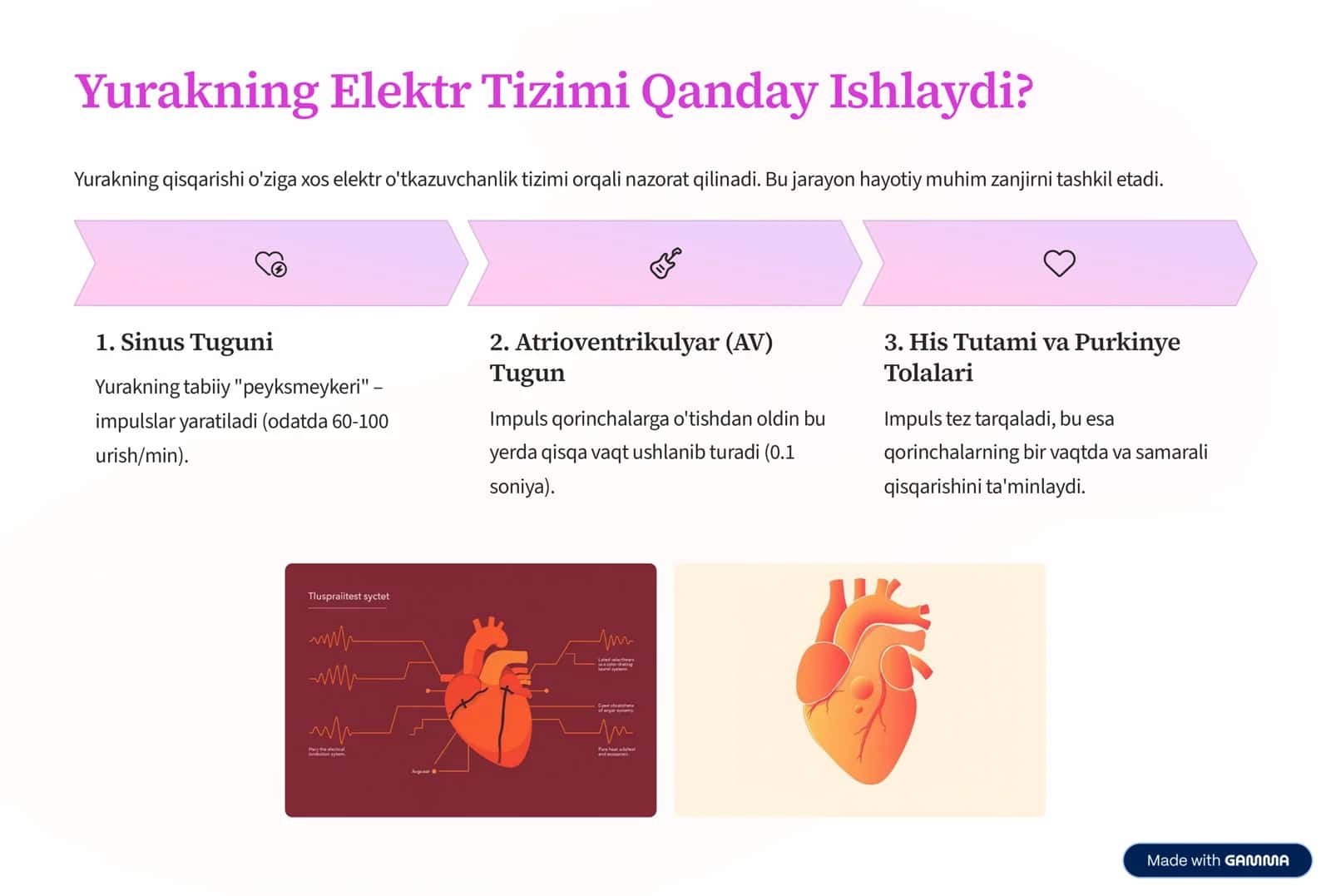 Yurak Avtomatizmi va Yurak Kasalliklari 3