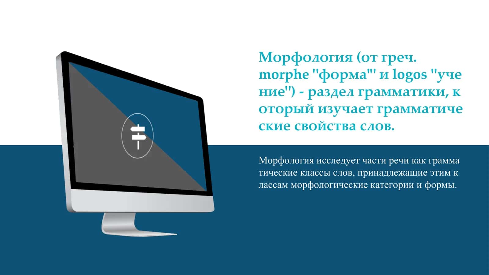 Основные вопросы морфологии 3