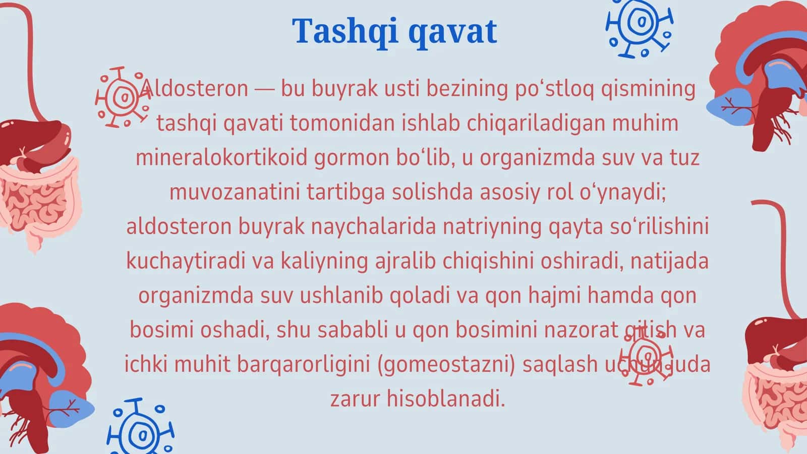 Meda osti va buyrak usti bezlari fizalogiyasi.Insulin va glyukagon efekti 3