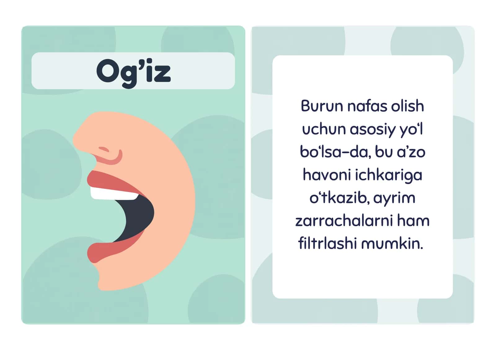 Nafas olish tizimi 3