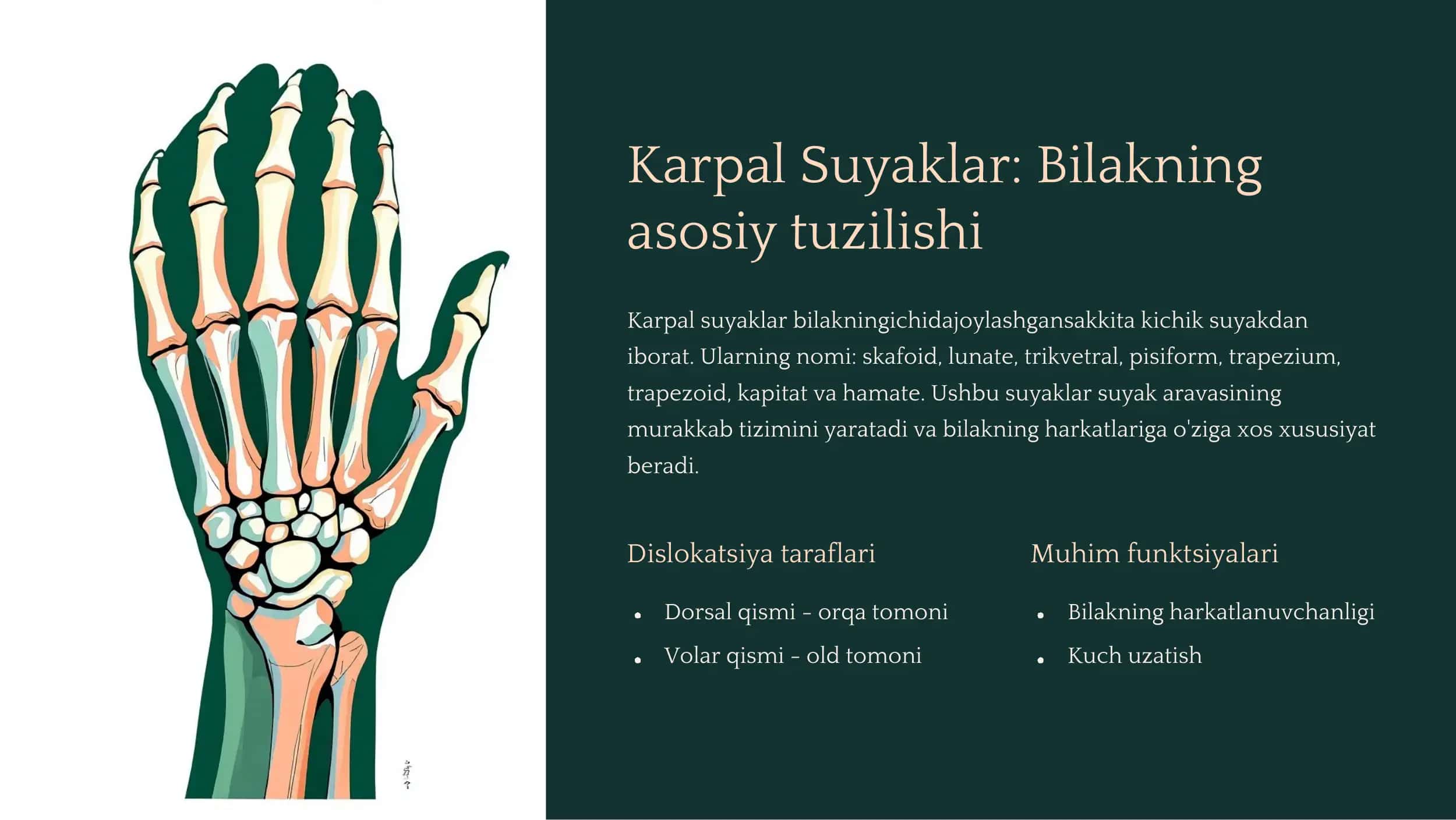 Panja Suyaklari 3
