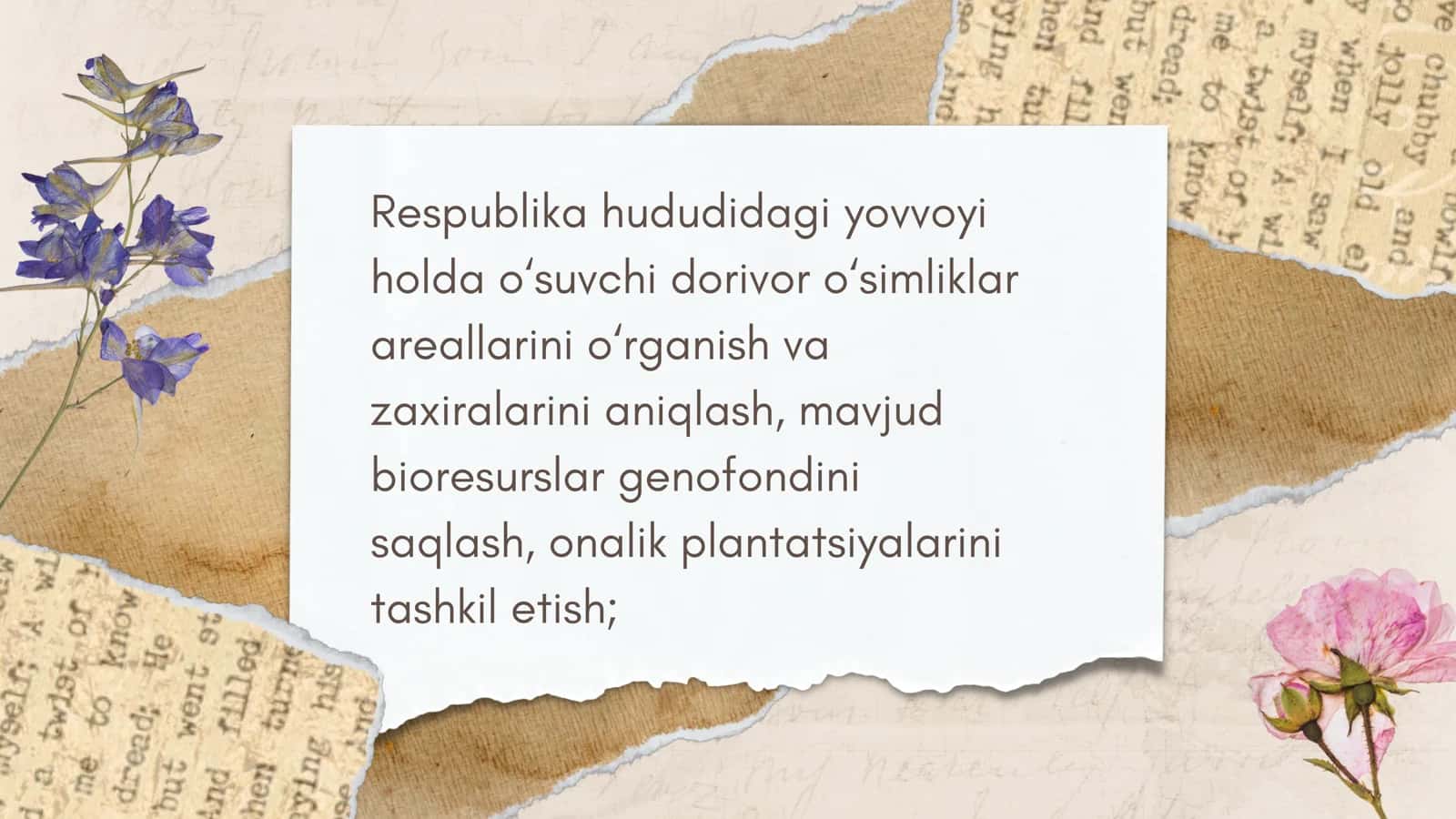 Dorivorlar va ziravorlar va dorivor va ziravorlarni qayta ishlash va saqlash 3