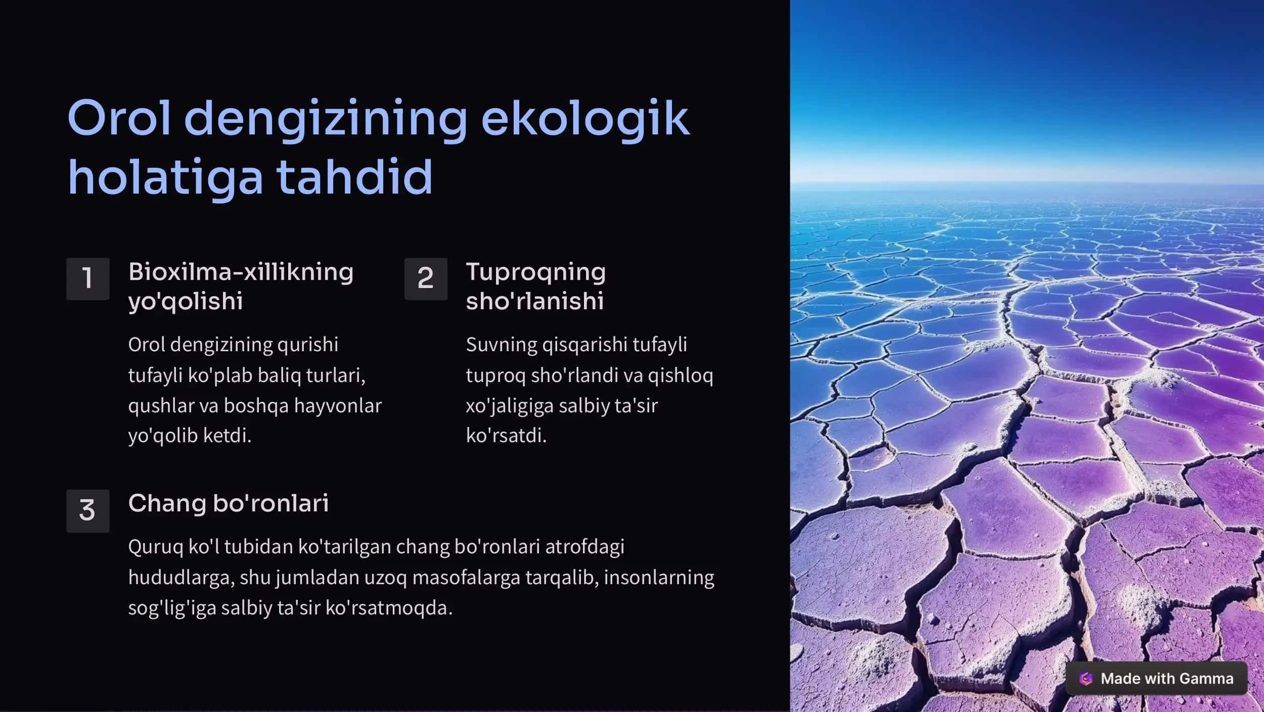 Orol dengizi 3