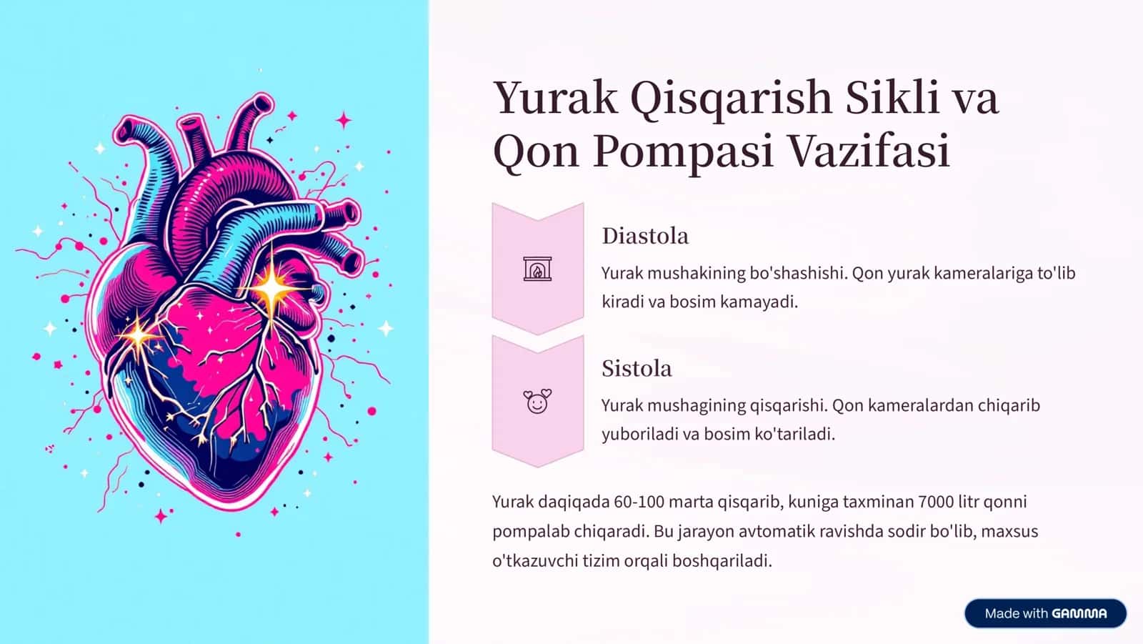 Qon Aylanish Tizimi Fiziologiyasi va Inson Salomatligi 3