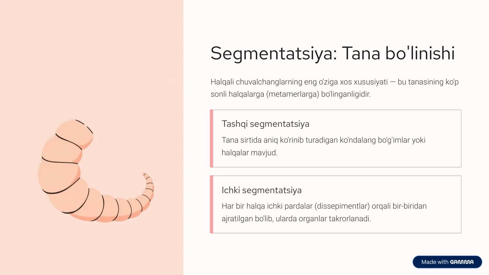 Halqali chuvalchanglar tipi 3