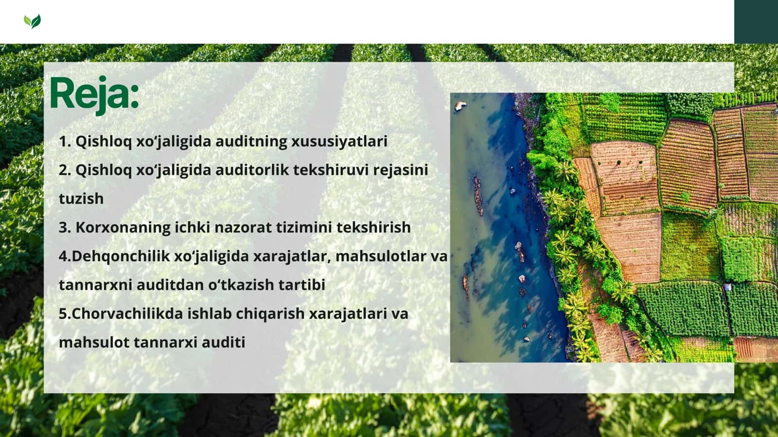 BOSHQA TARMOQLARDA AUDITNING XUSUSIYATLARI 3