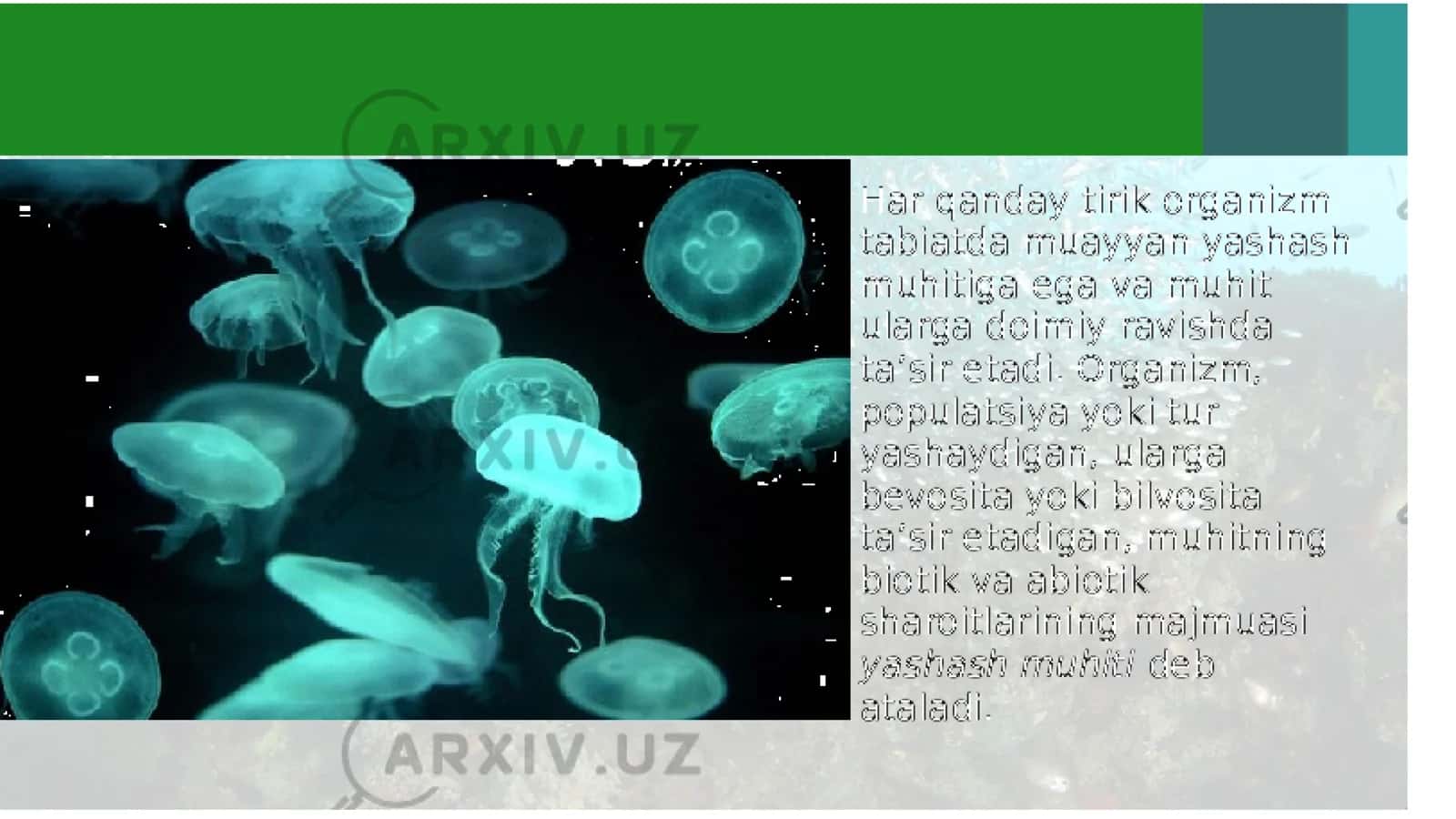 Organizmning moslashishi va uning bosqichlari 3