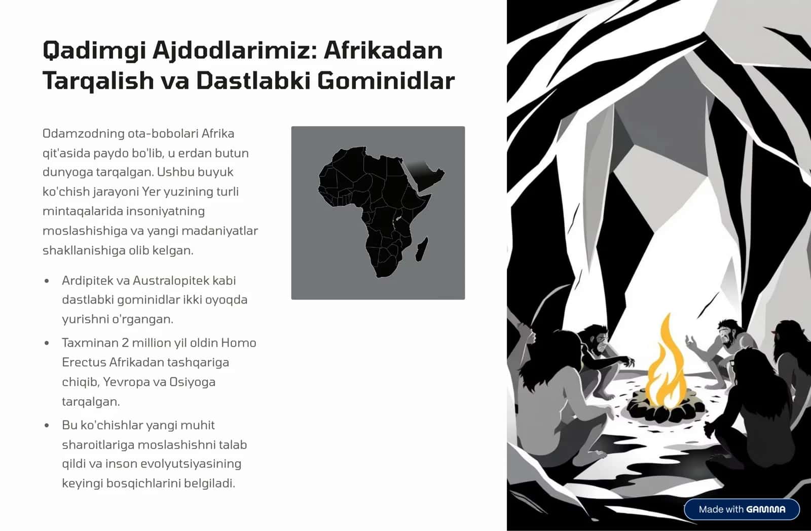 Odamning kelib chiqishi, Odam evolyutsiyasi 3