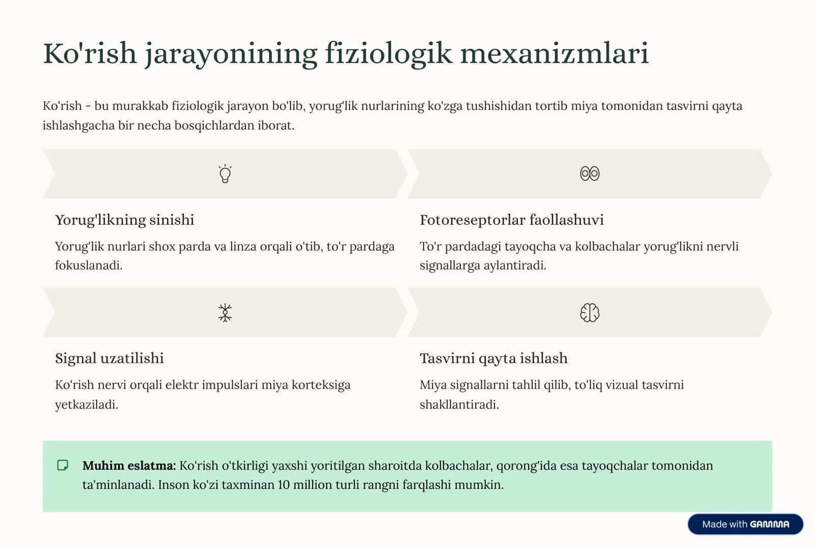 Ko'rish organlari fiziologiyasi va kasalliklari 3