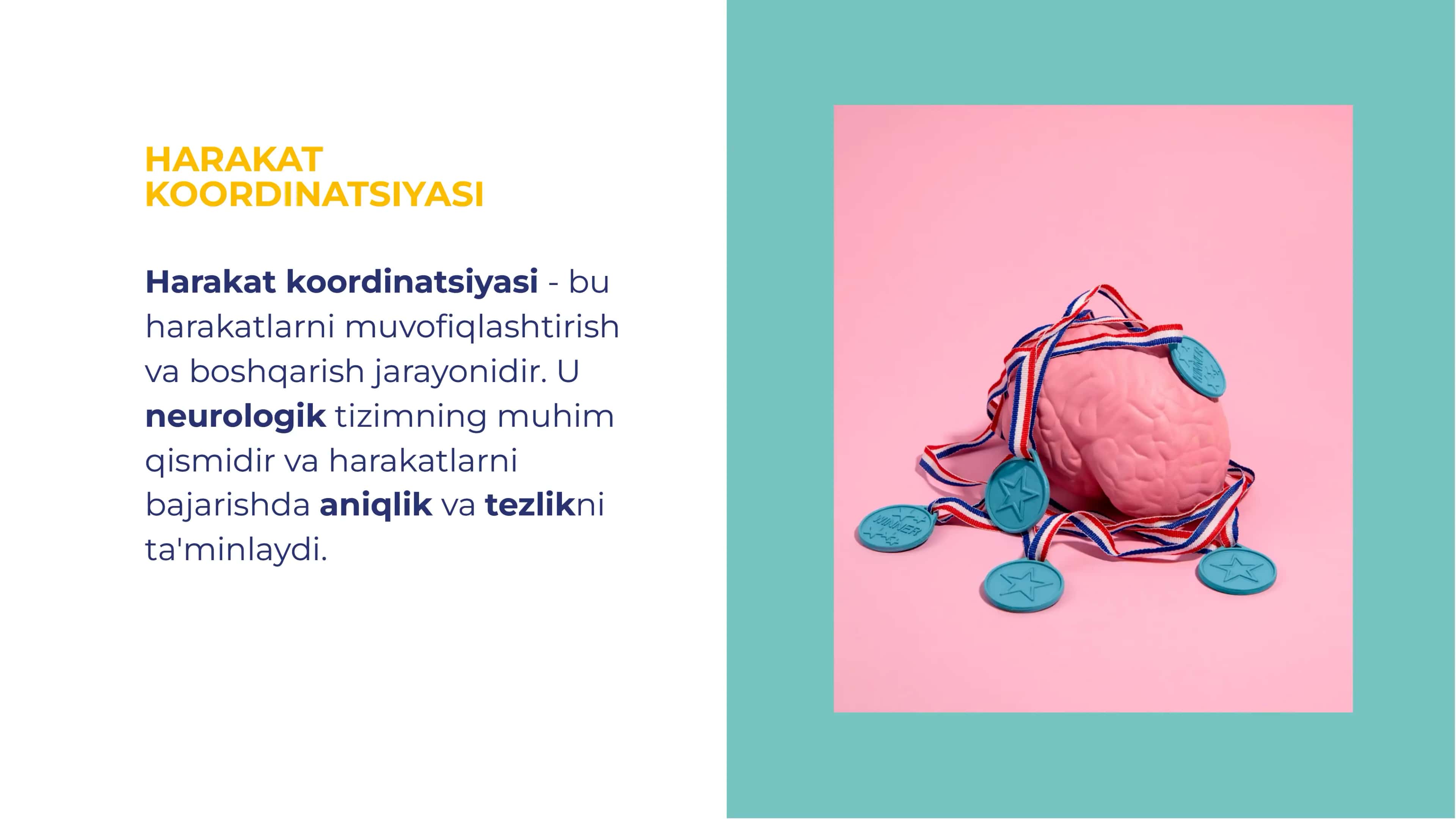 Harakat koordinatsiyasi va ekstrapiramidal  tizim. Strio-pallidar tizimining zararlanish sindromlariini tekshirish usullari .Ixtiyoriy harakat yo'lining tekshirish usullari. 3