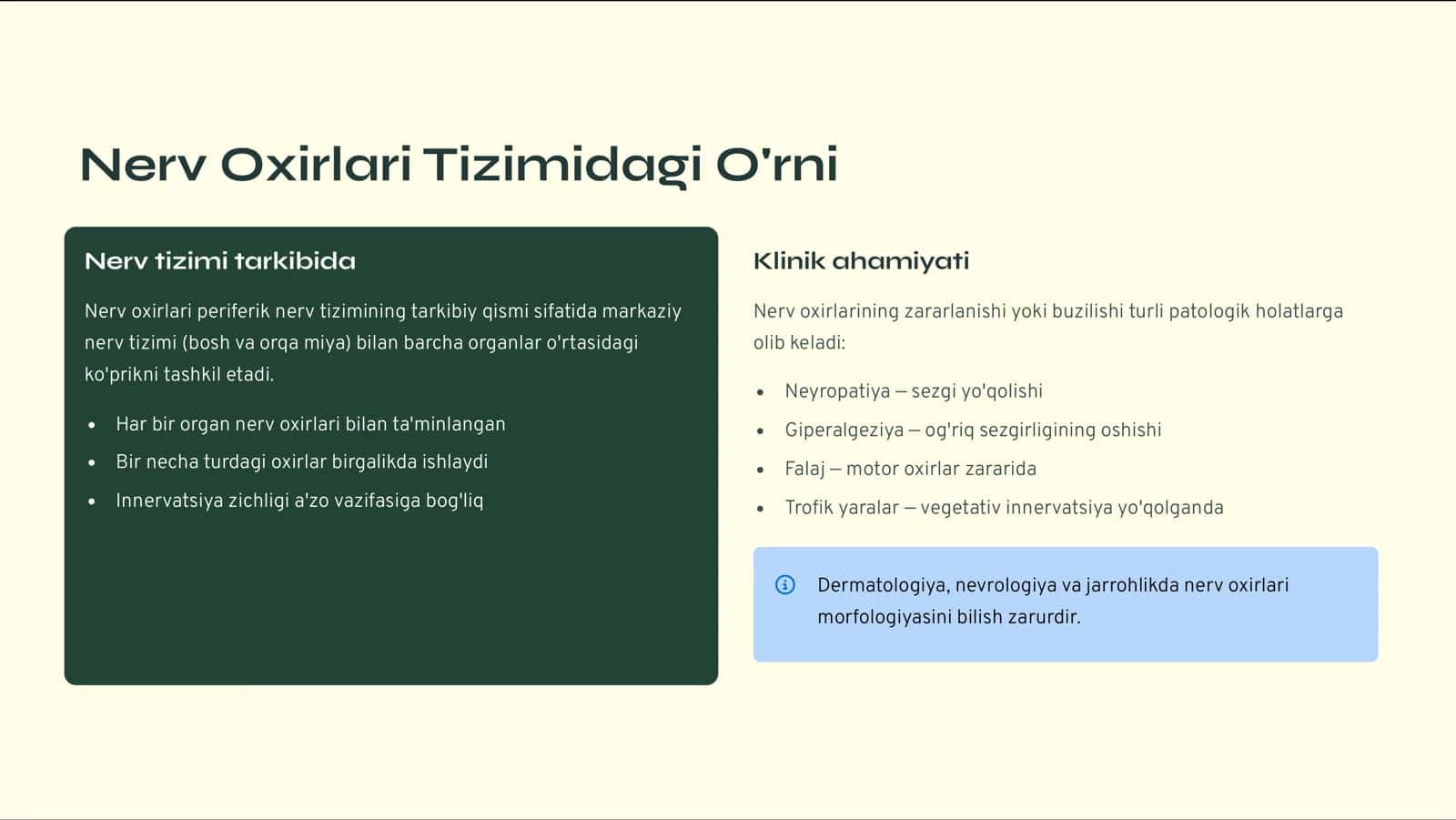 Nerv Oxirlari: Turlari va Gistologik Tuzilishi 3