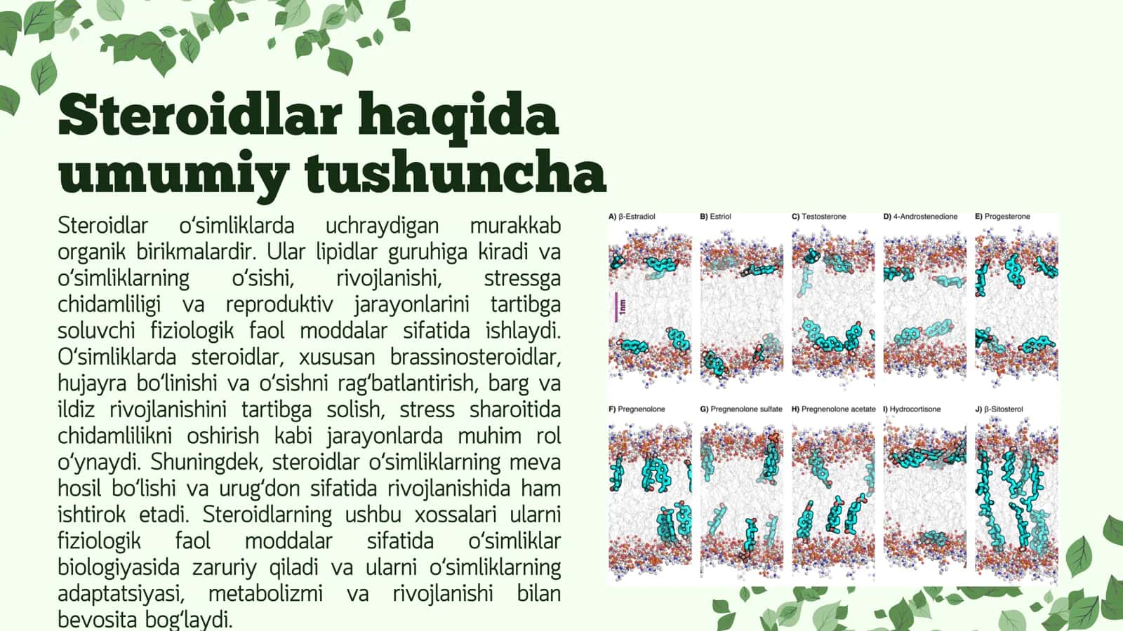 Steroidlar haqida umumiy tushuncha 3